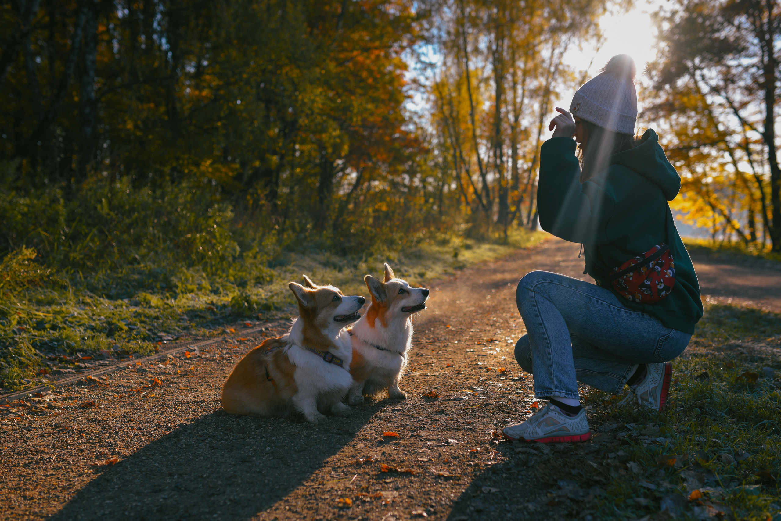 Фотосессия с питомцем в Москве. Свадебный фотограф в Москве Анна Полушина
