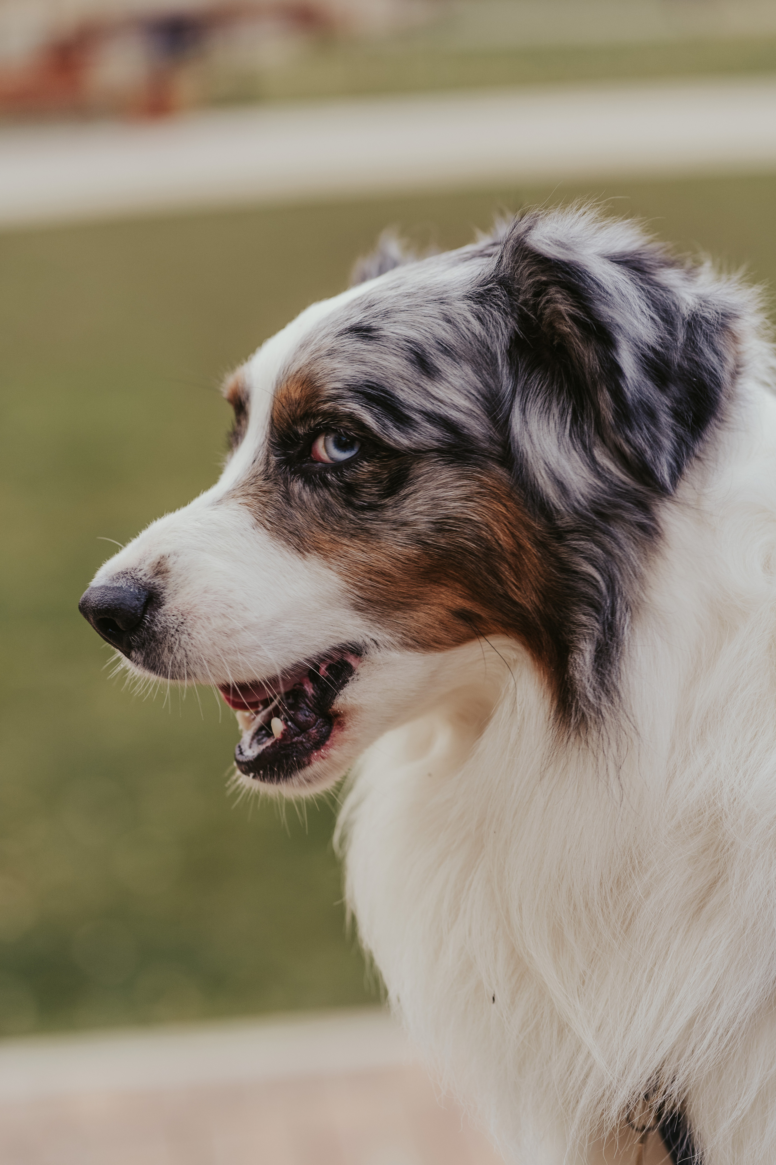 Лена и Принц, Китай- Город. Свадебный фотограф в Москве Анна Полушина
