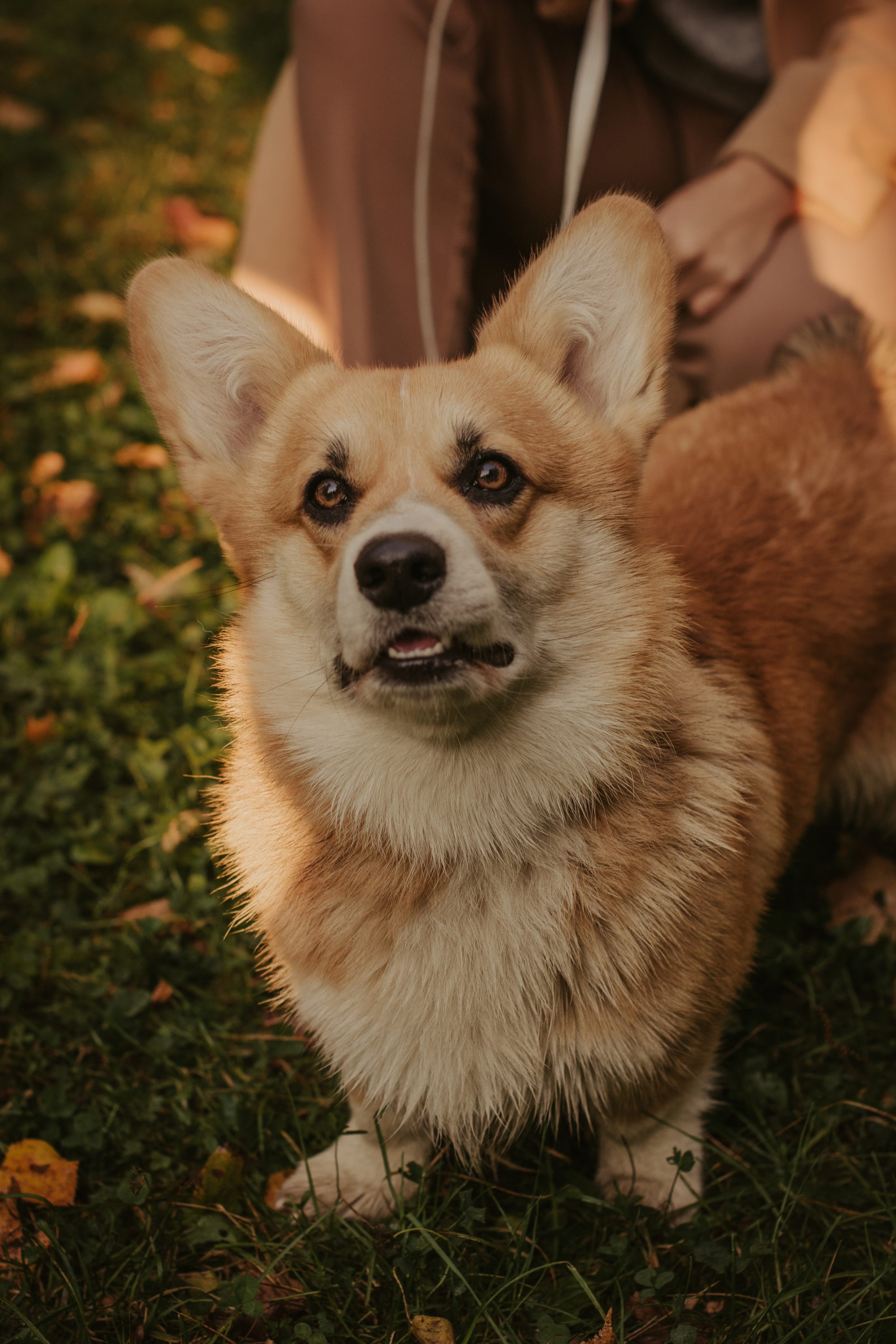 Катя и Оливер, Сокольники. Свадебный фотограф в Москве Анна Полушина