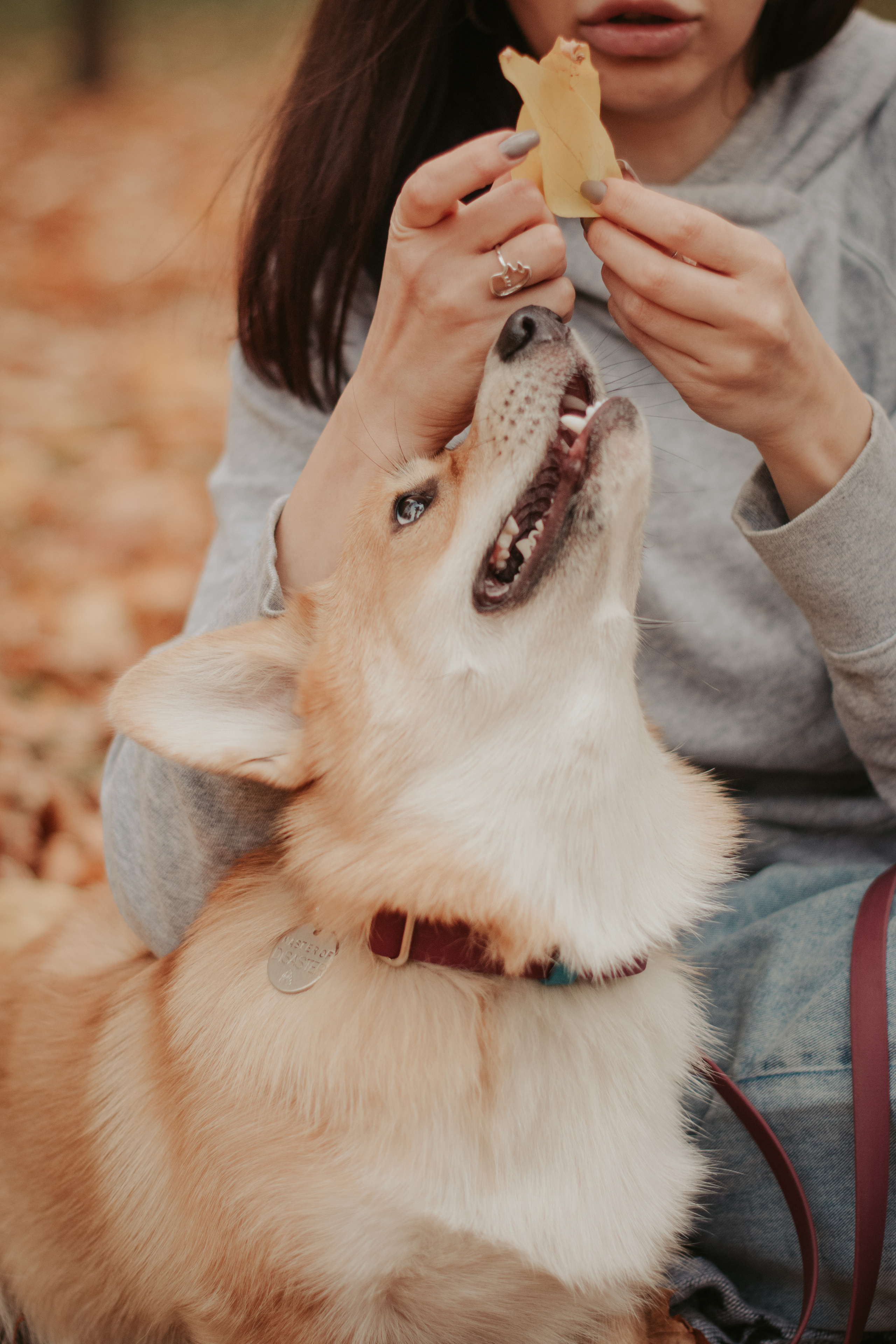 Марина и Мася, Новодевичий сквер. Свадебный фотограф в Москве Анна Полушина