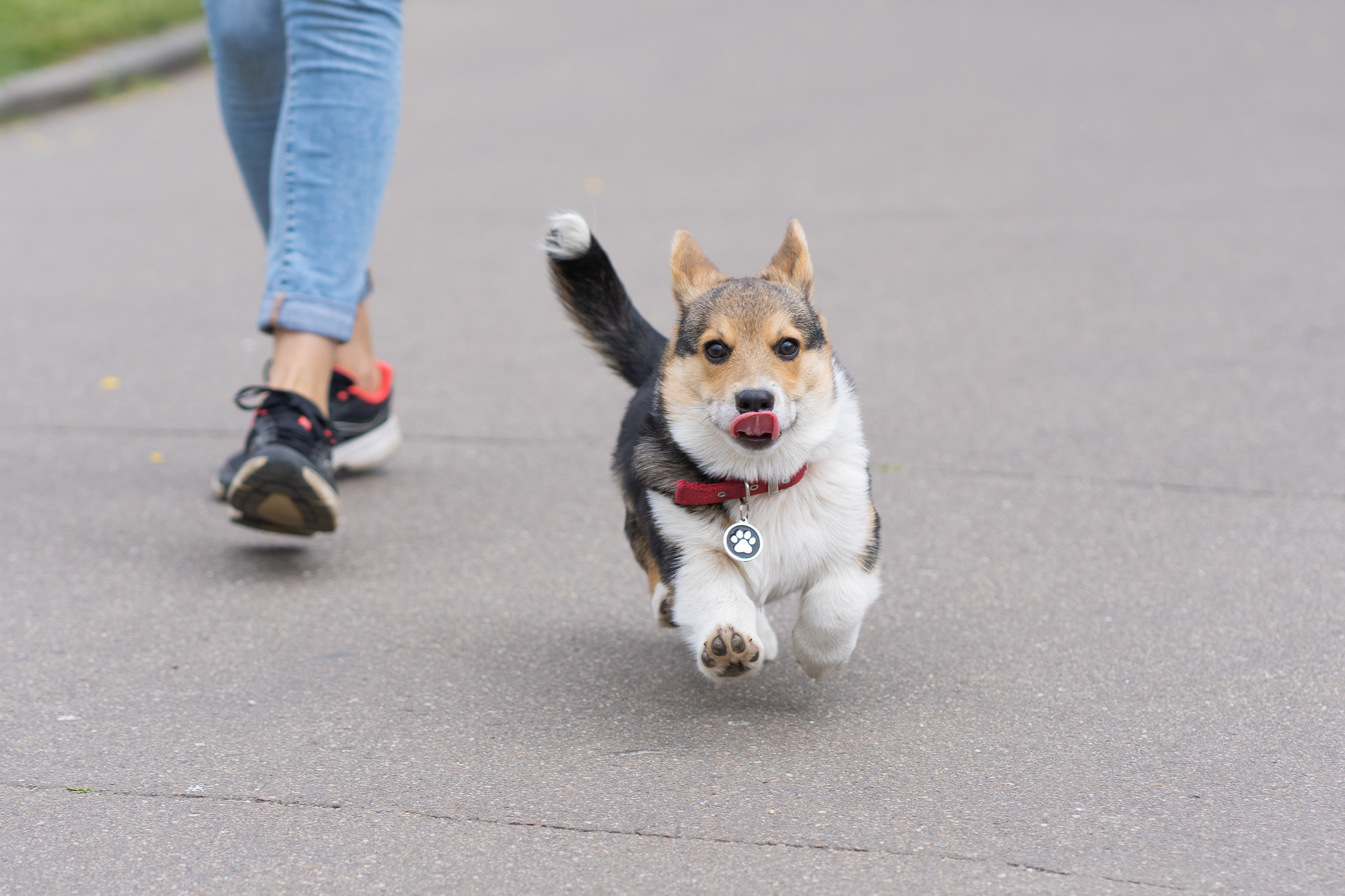 Каспер и Полина, Ботанический сад. Свадебный фотограф в Москве Анна Полушина