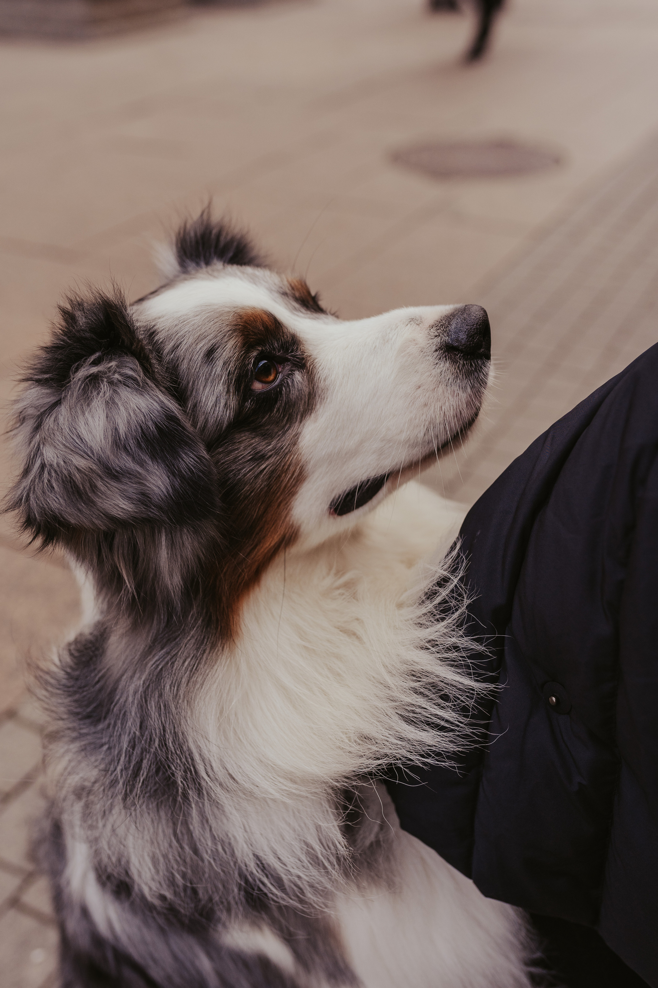 Лена и Принц, Китай- Город. Свадебный фотограф в Москве Анна Полушина
