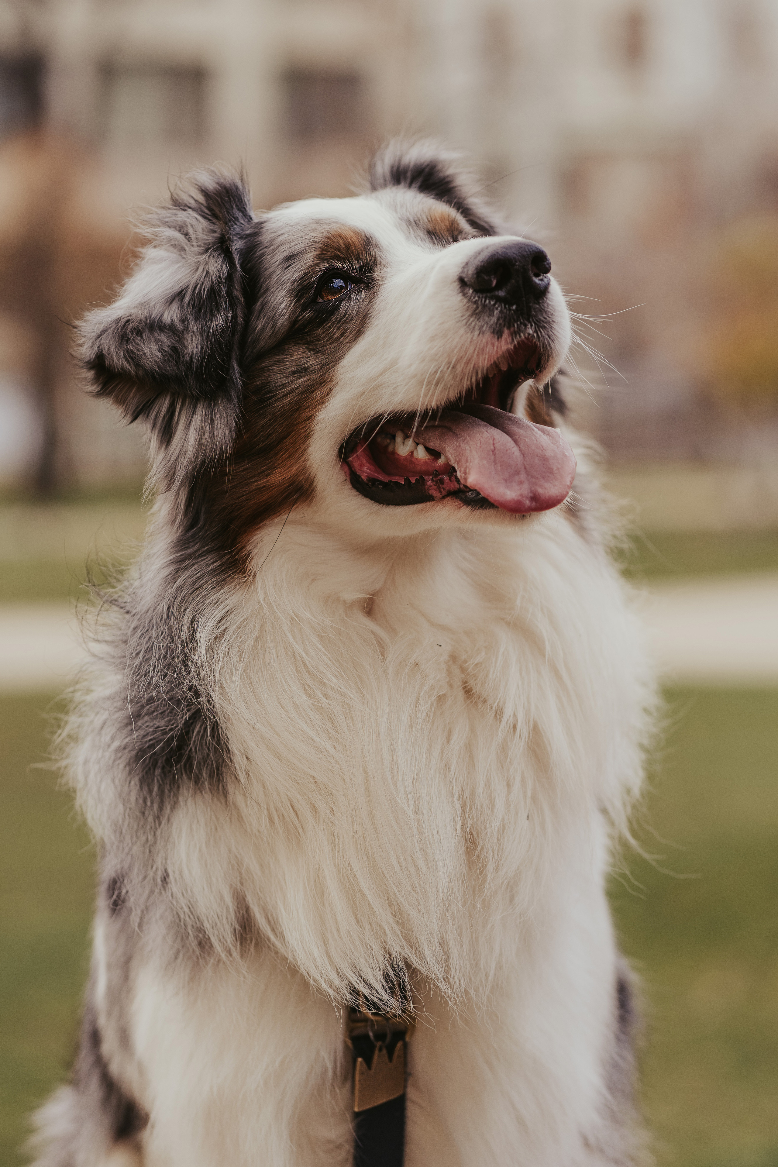 Лена и Принц, Китай- Город. Свадебный фотограф в Москве Анна Полушина