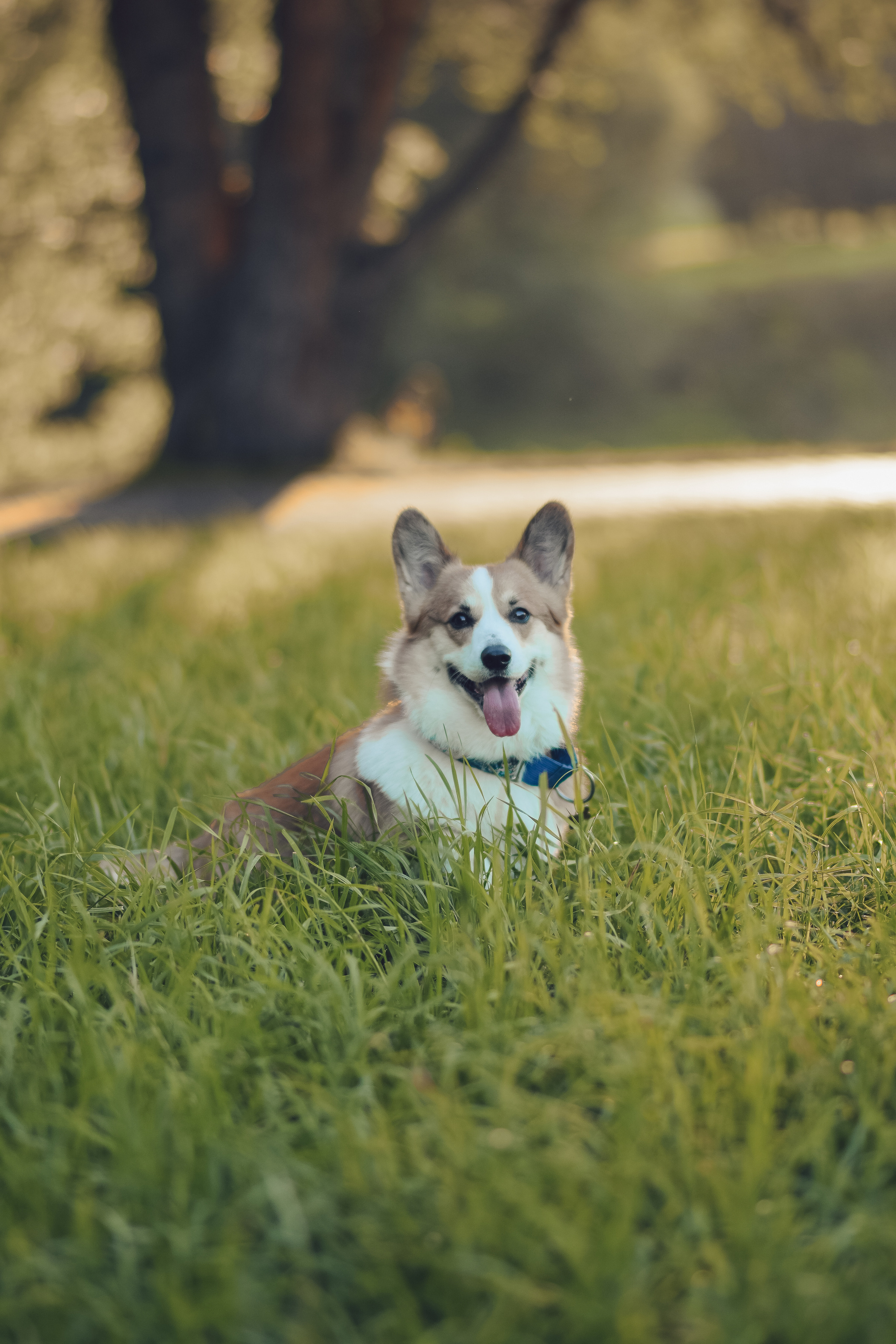 Алина и Ройс, парк на Яузе. Свадебный фотограф в Москве Анна Полушина
