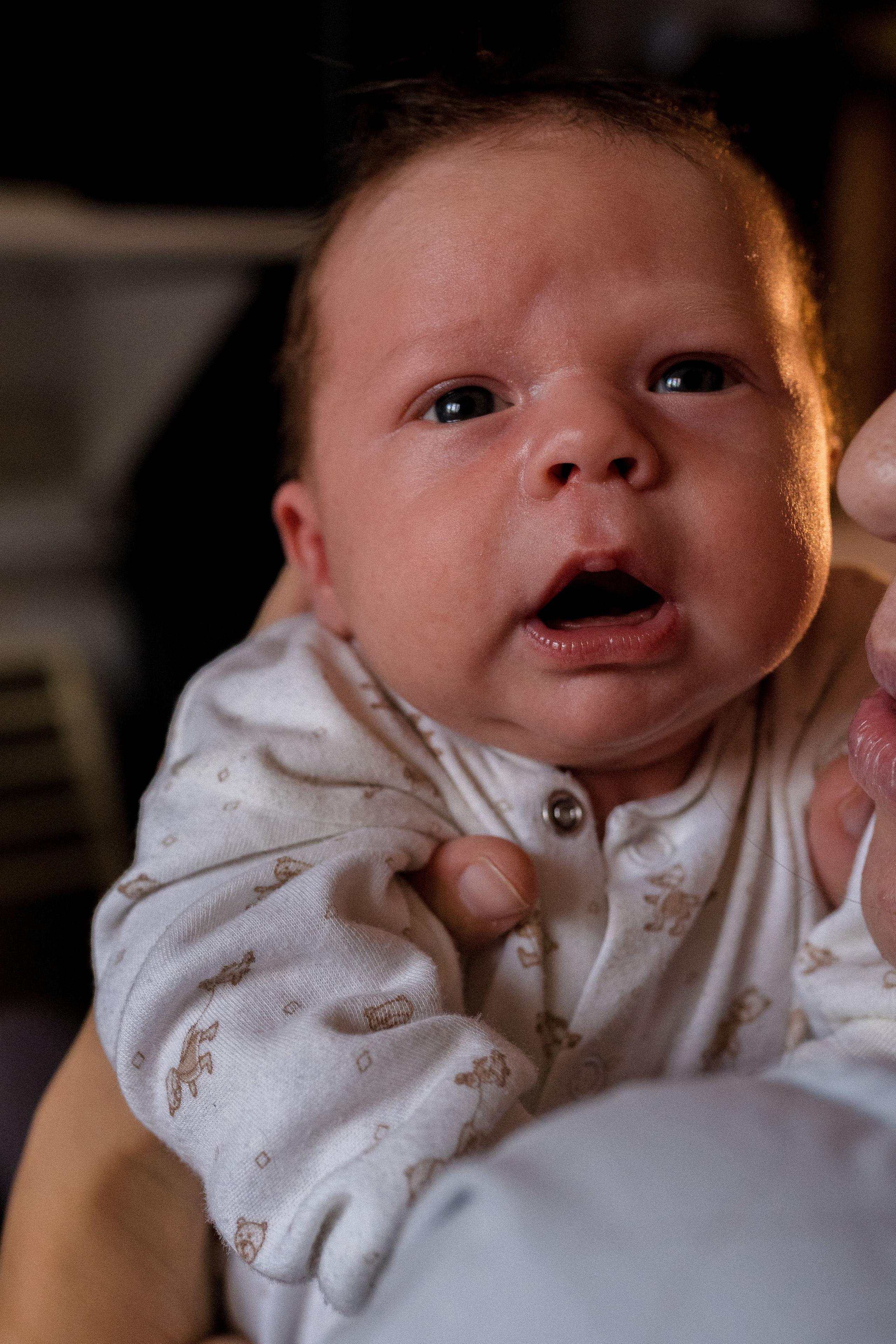 Семейная фотосессия в Москве, семейный фотограф Анна Полушина. Свадебный фотограф в Москве Анна Полушина