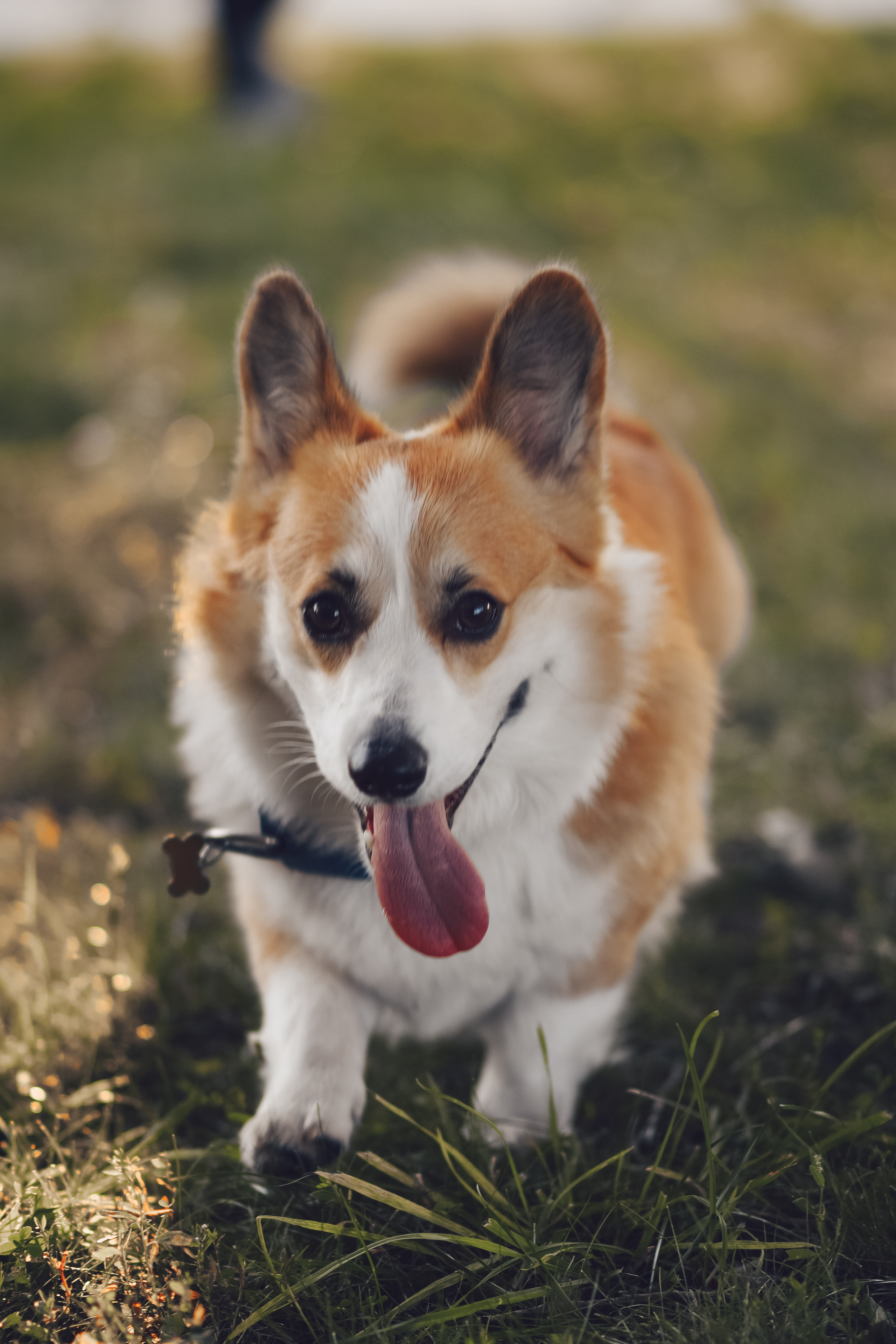 Алина и Ройс, парк на Яузе. Свадебный фотограф в Москве Анна Полушина
