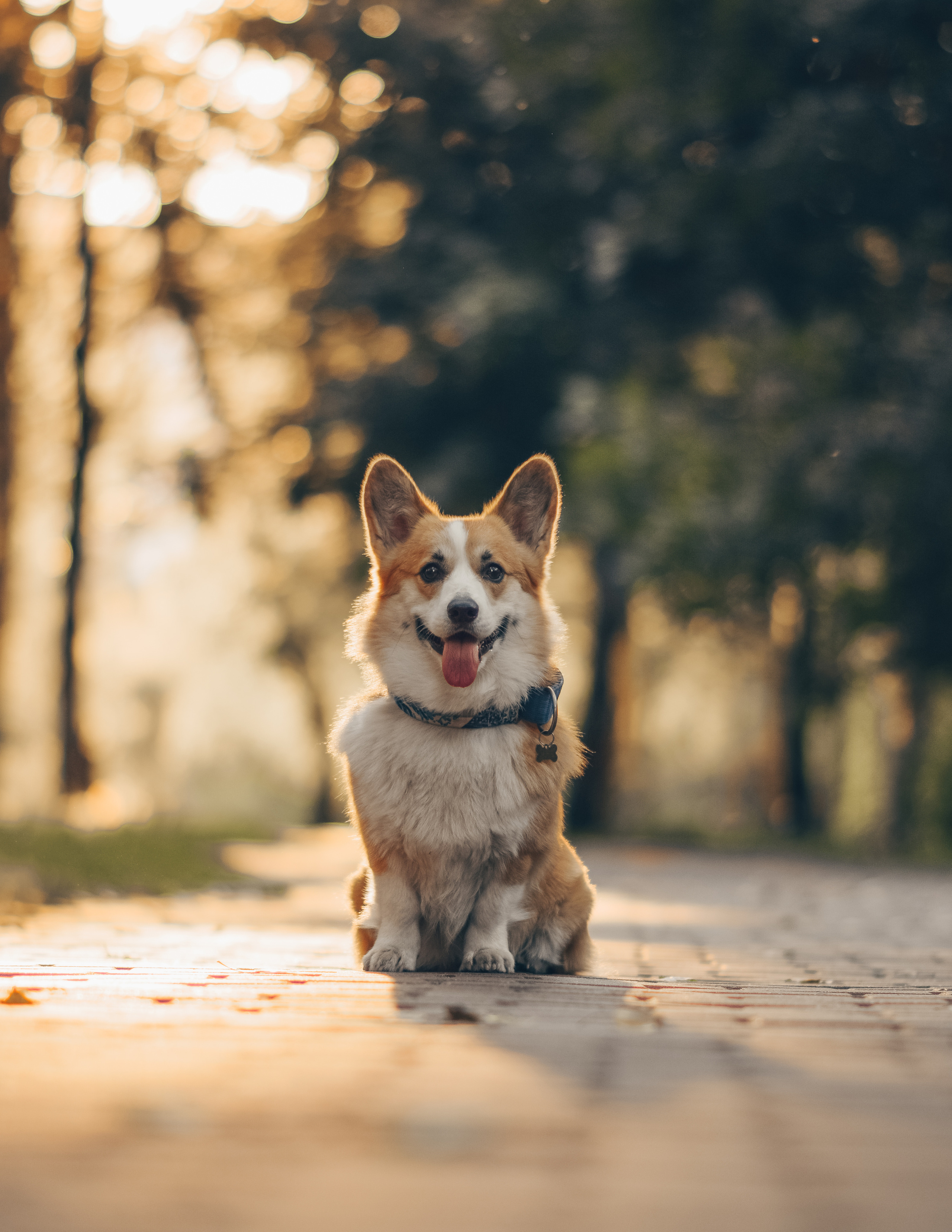 Алина и Ройс, парк на Яузе. Свадебный фотограф в Москве Анна Полушина