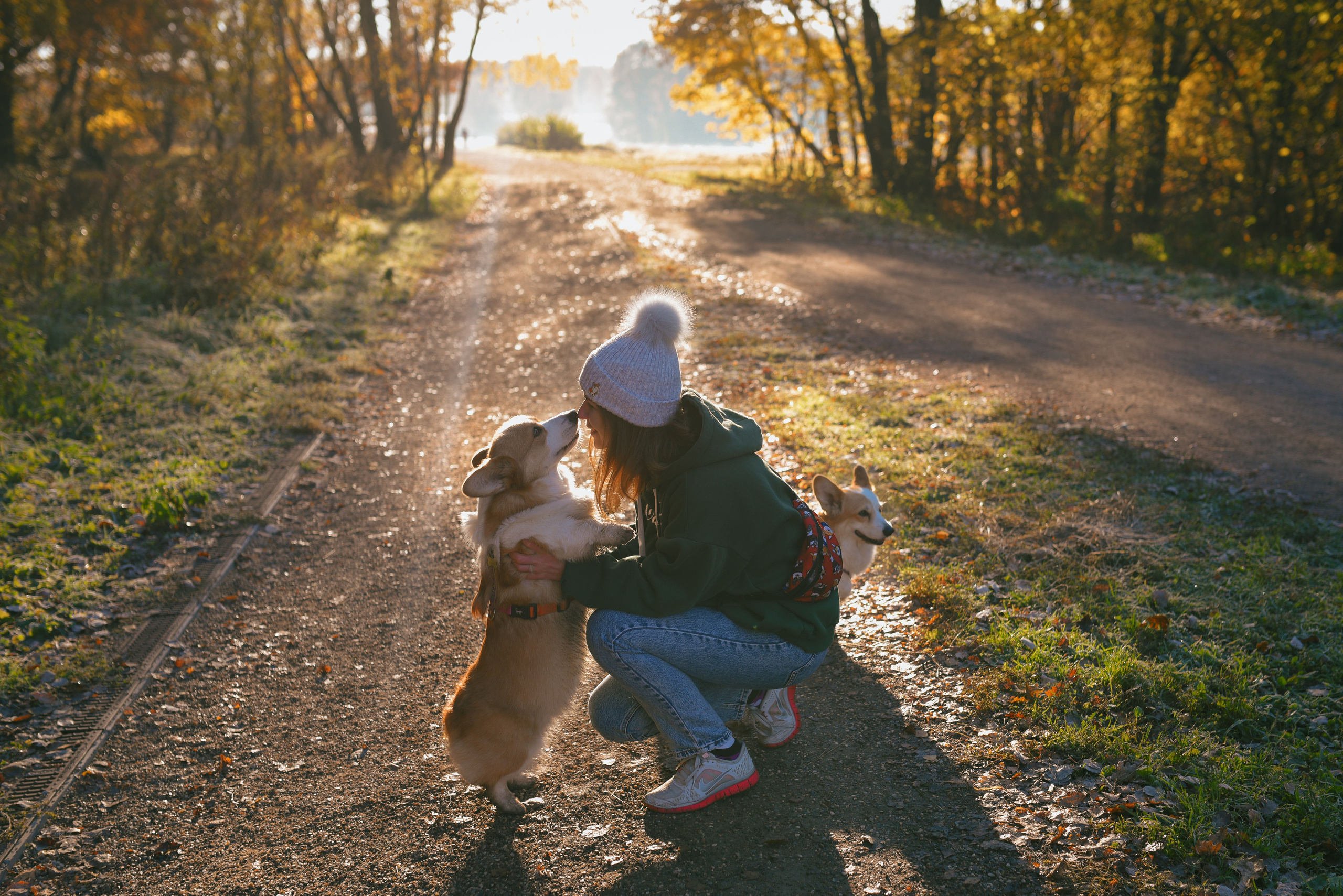 Фотосессия с питомцем в Москве. Свадебный фотограф в Москве Анна Полушина