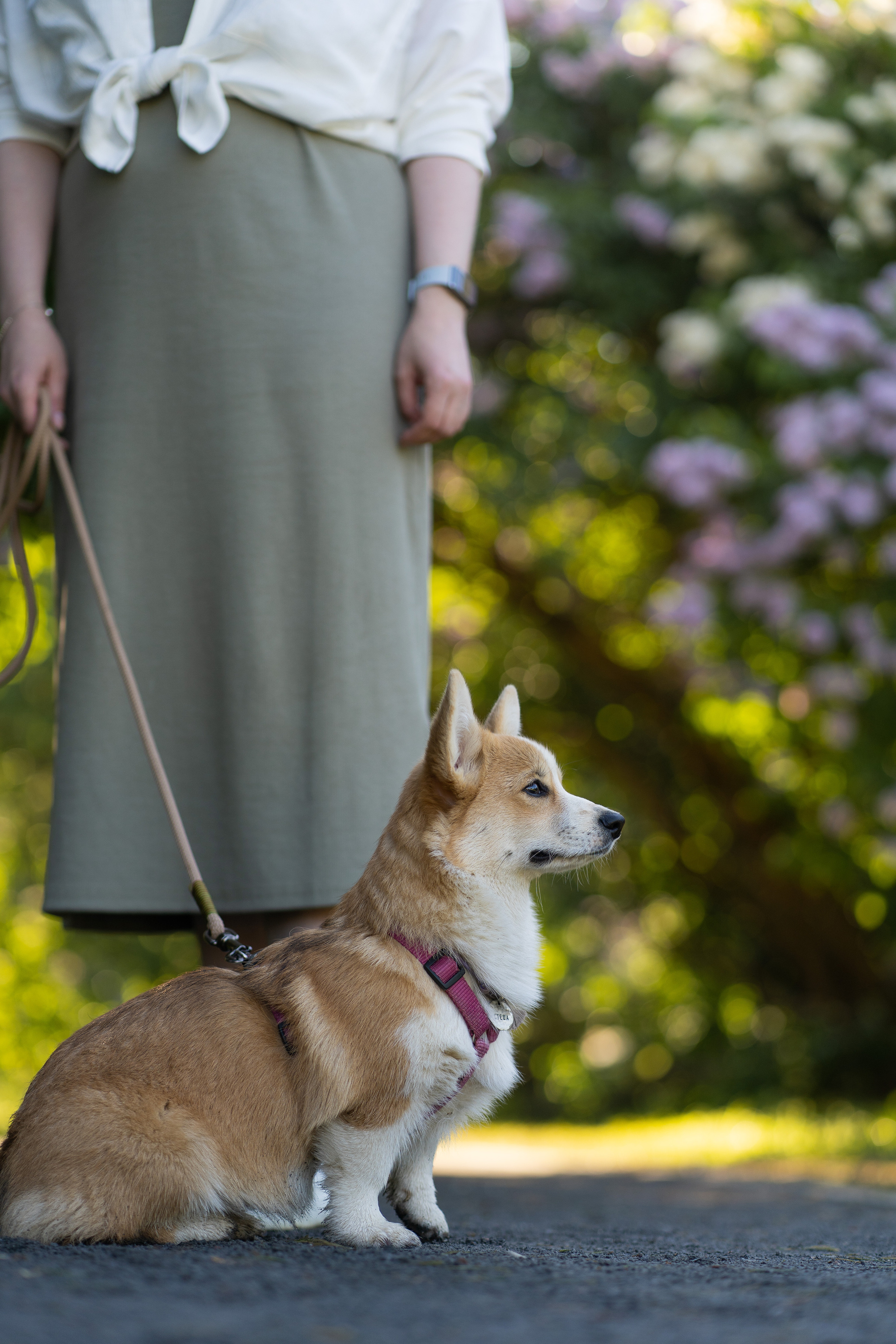 Полина и Стеша, Сиреневый сад. Свадебный фотограф в Москве Анна Полушина