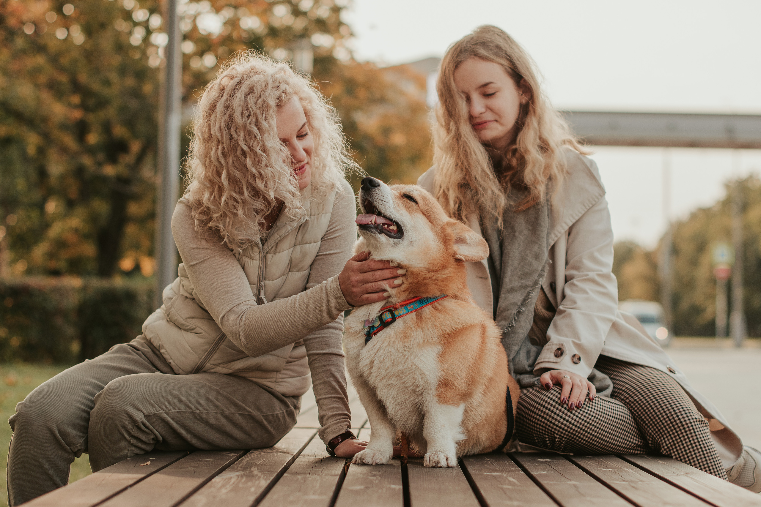 Наташа, Даша и Кевин. Свадебный фотограф в Москве Анна Полушина
