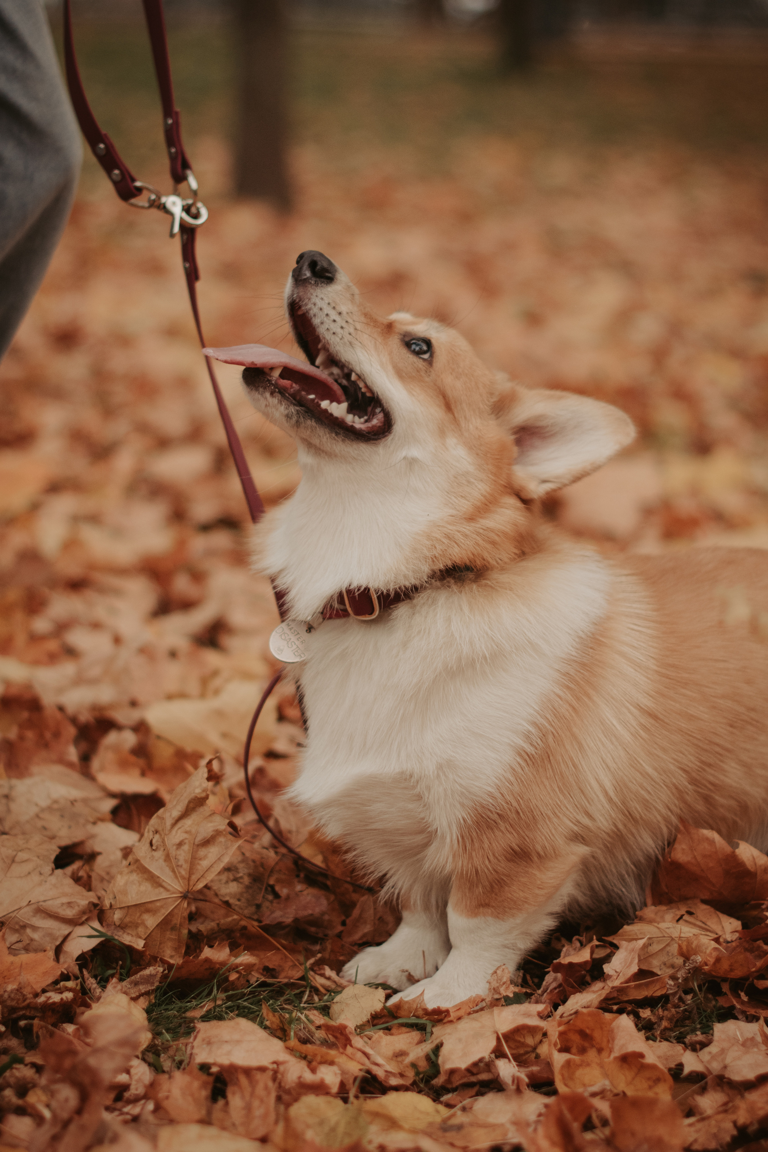 Марина и Мася, Новодевичий сквер. Свадебный фотограф в Москве Анна Полушина