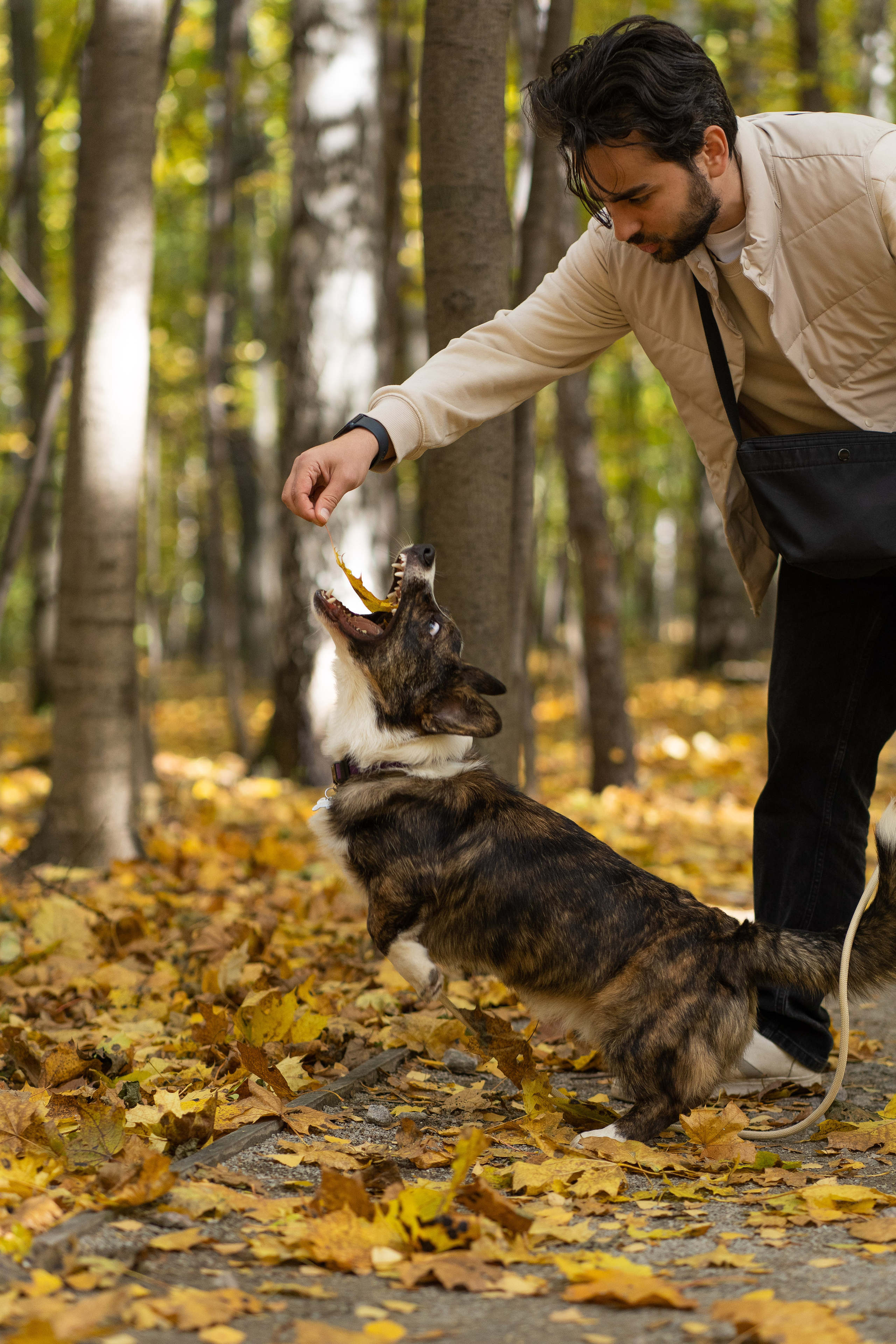 Боря, Даша и Маффин. Свадебный фотограф в Москве Анна Полушина