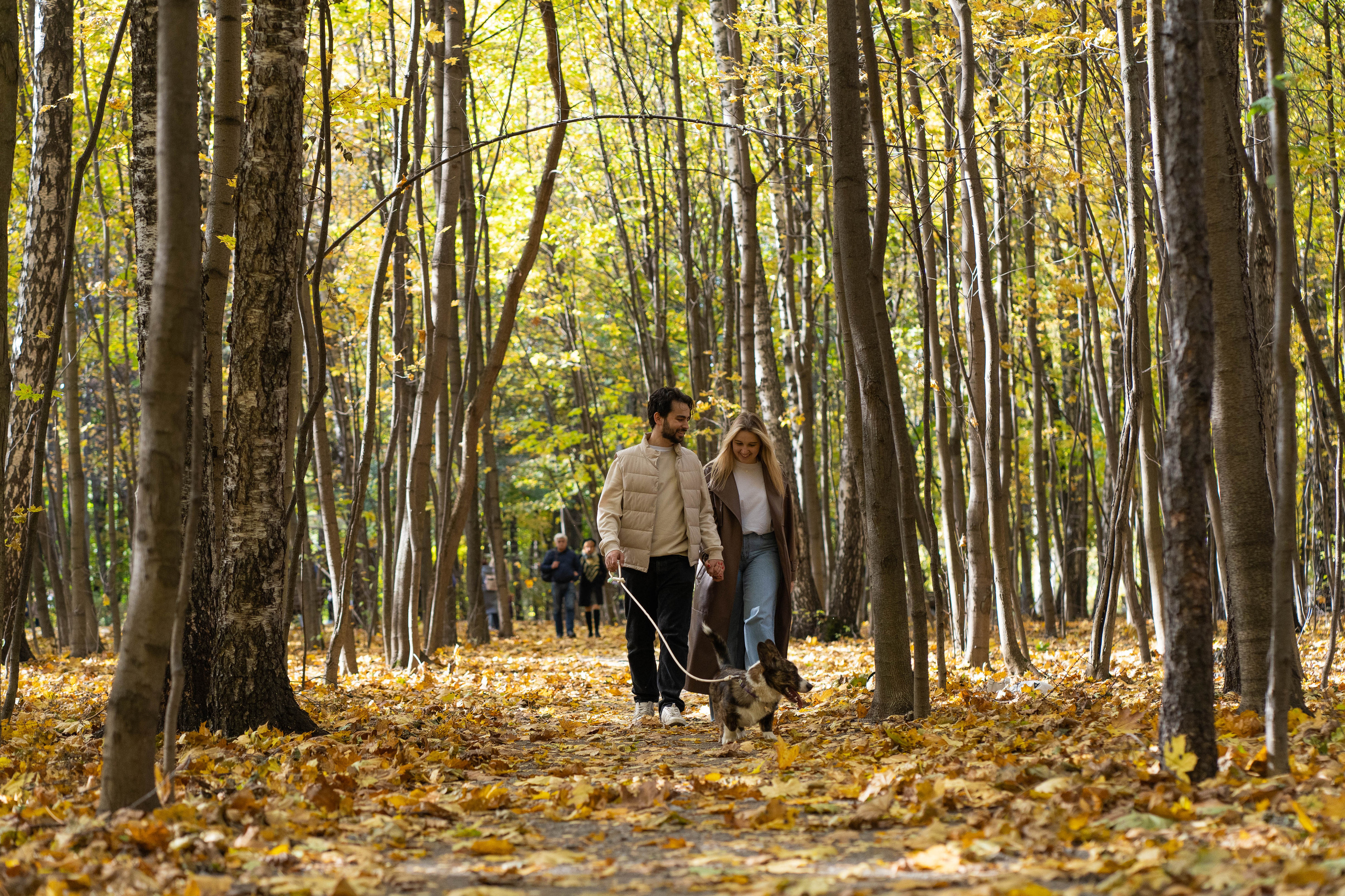 Боря, Даша и Маффин. Свадебный фотограф в Москве Анна Полушина