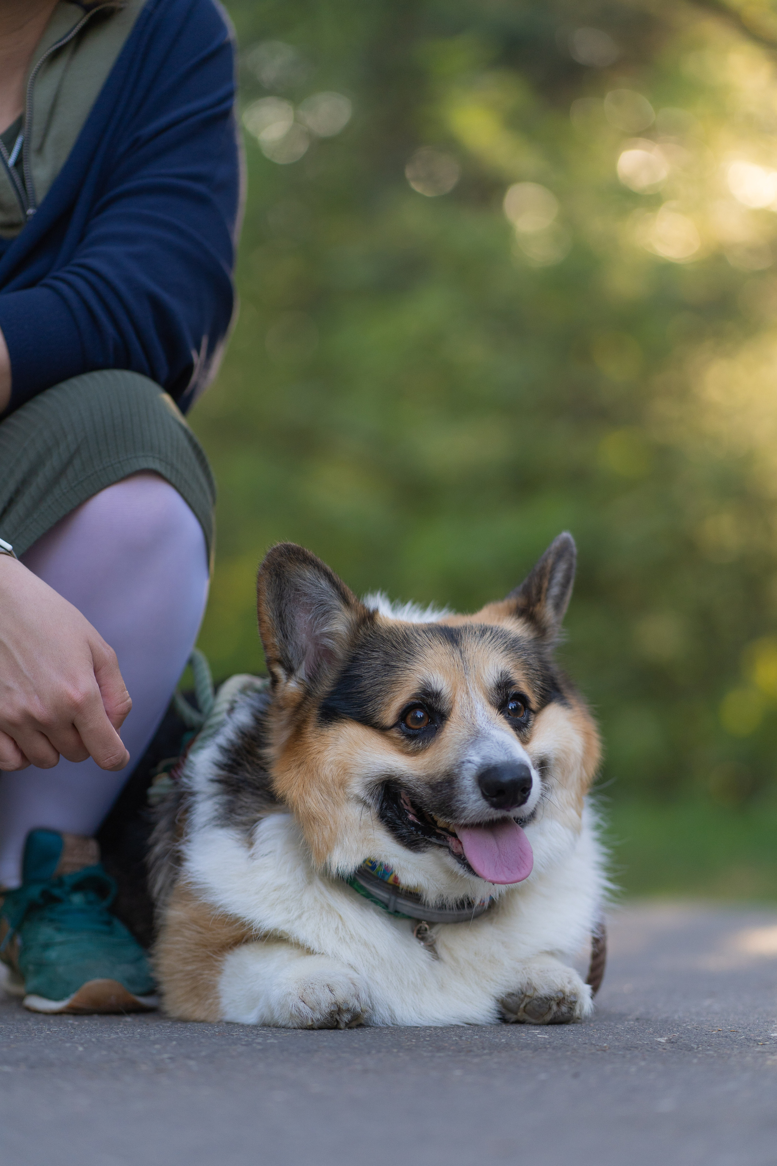 Катя и Честер, Серебряный бор. Свадебный фотограф в Москве Анна Полушина