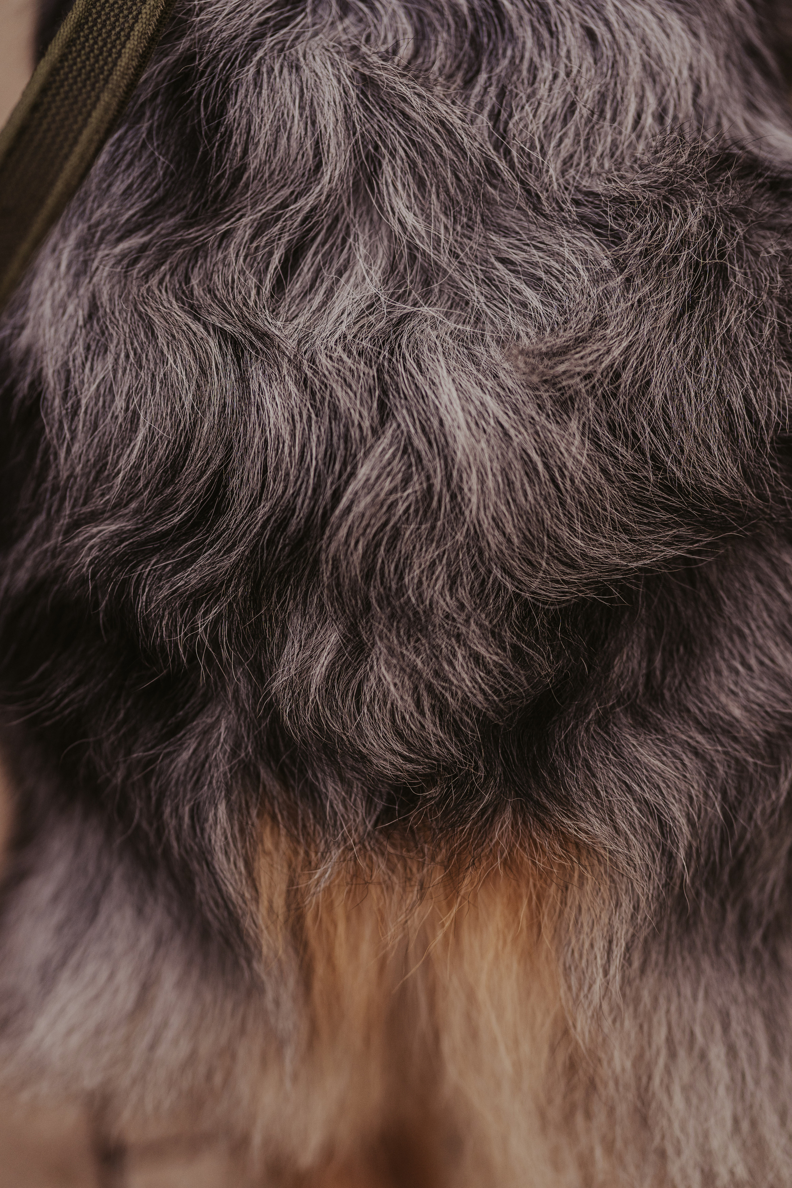 Лена и Принц, Китай- Город. Свадебный фотограф в Москве Анна Полушина