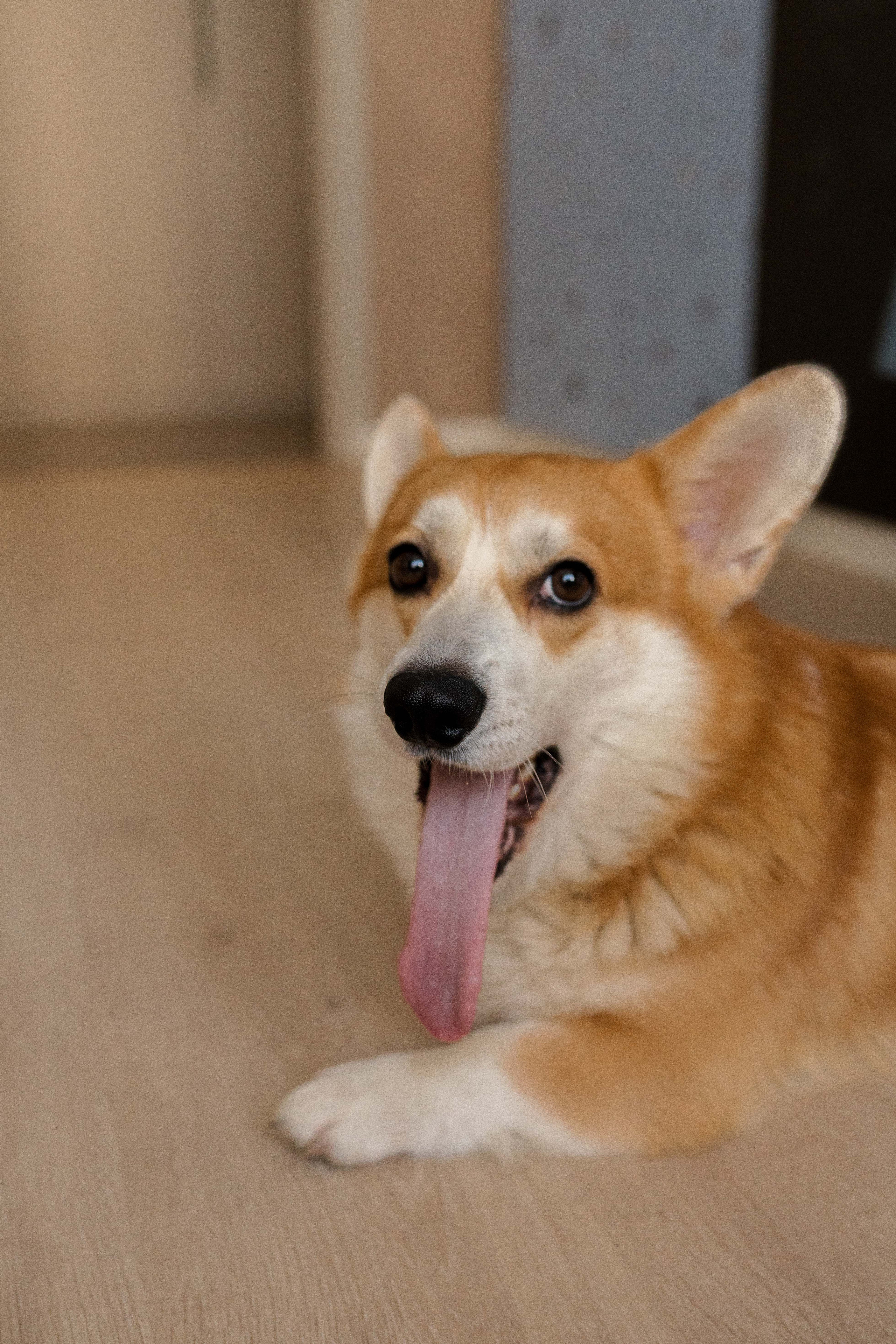 Семейная фотосессия в Москве, семейный фотограф Анна Полушина. Свадебный фотограф в Москве Анна Полушина