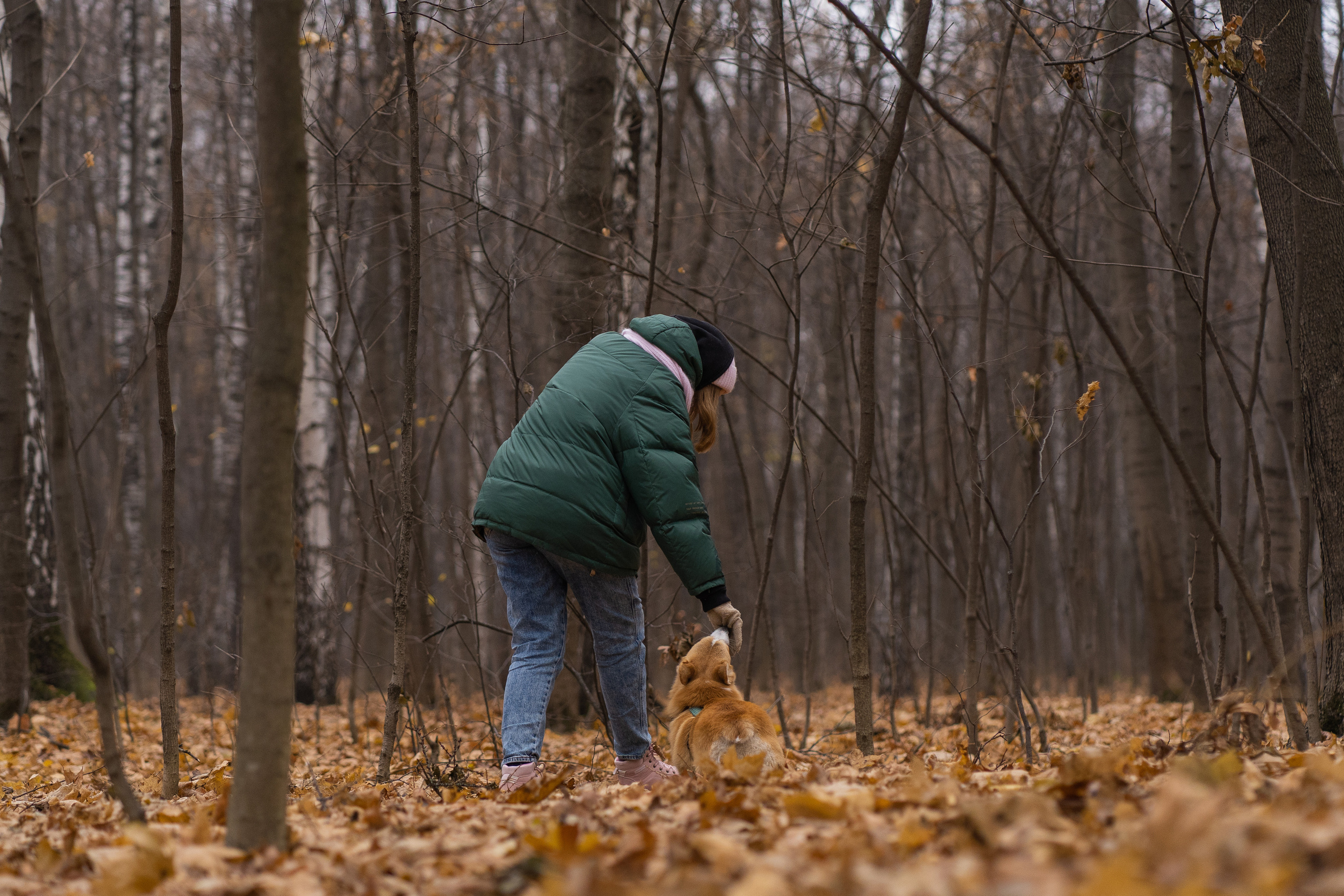Ульяна, Рома, корги Эйс. Свадебный фотограф в Москве Анна Полушина