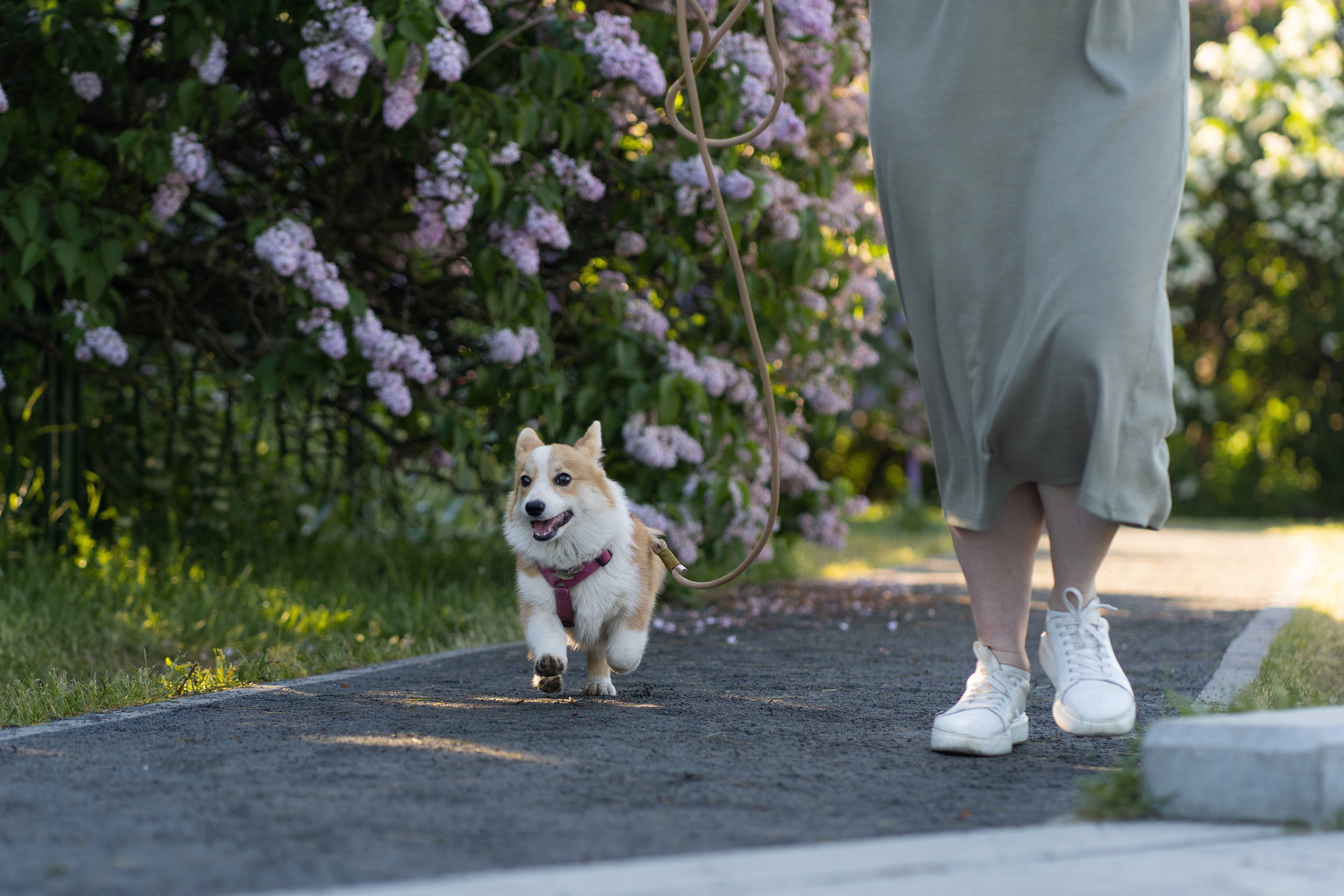 Полина и Стеша, Сиреневый сад. Свадебный фотограф в Москве Анна Полушина
