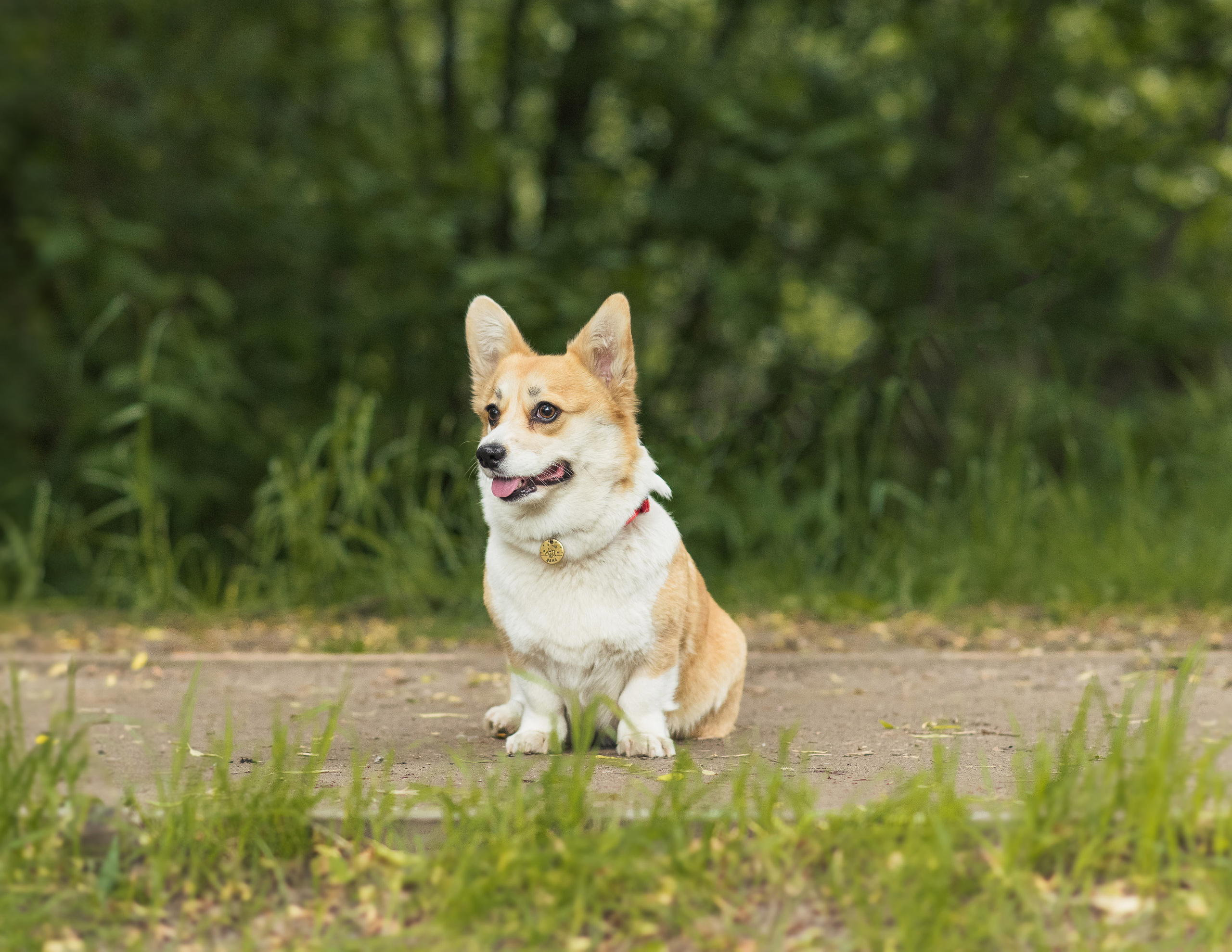Юлия и Шаня, Покровское-Стрешнево. Свадебный фотограф в Москве Анна Полушина