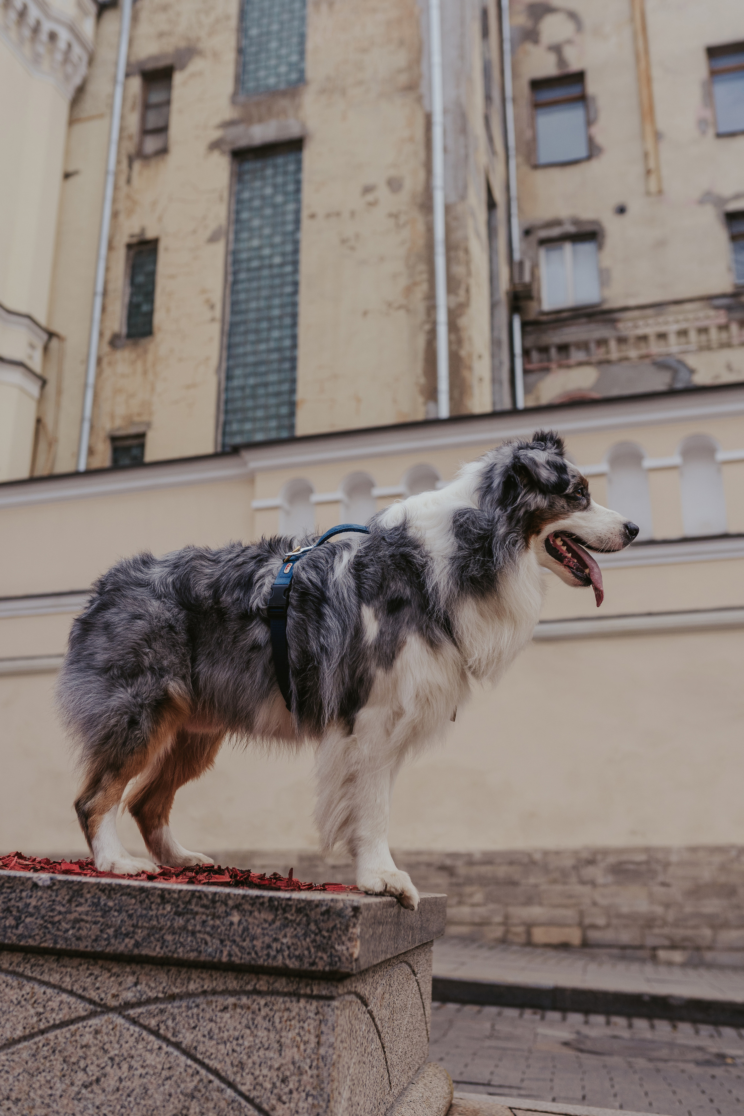 Лена и Принц, Китай- Город. Свадебный фотограф в Москве Анна Полушина
