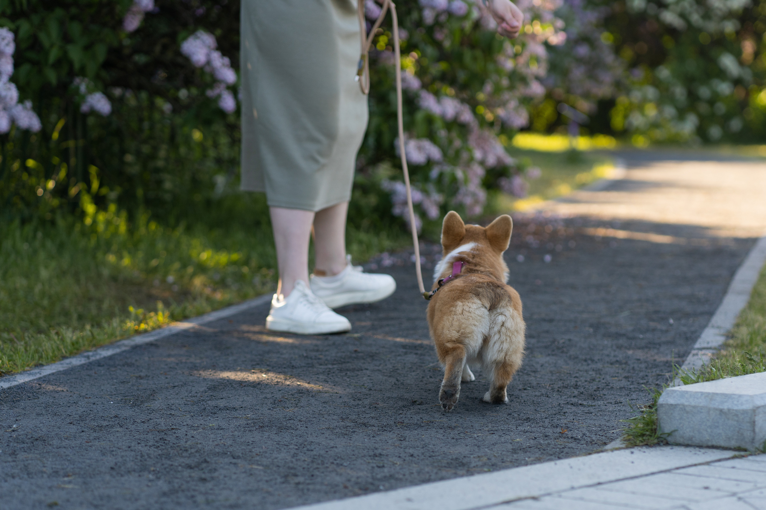 Полина и Стеша, Сиреневый сад. Свадебный фотограф в Москве Анна Полушина