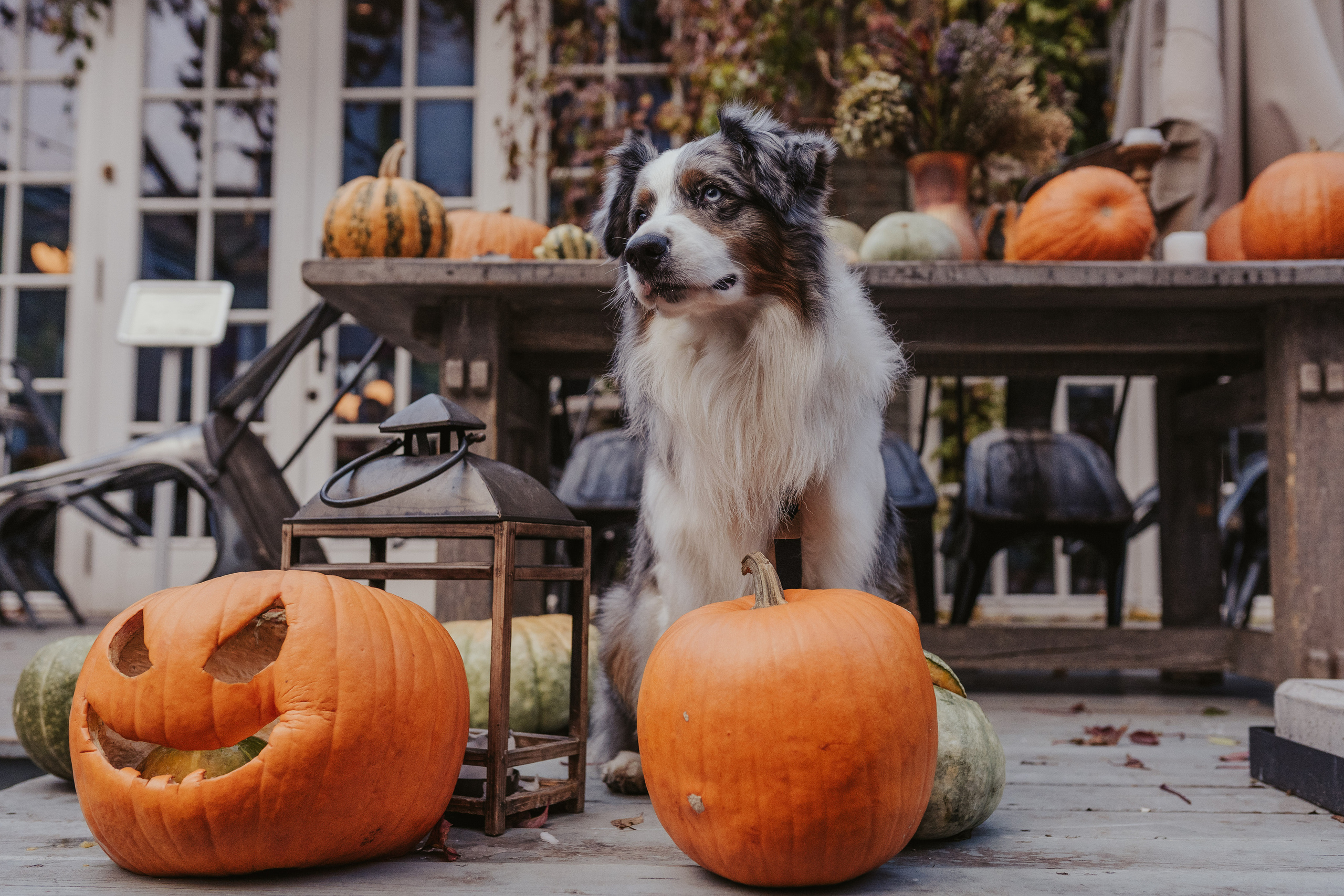 Лена и Принц, Китай- Город. Свадебный фотограф в Москве Анна Полушина