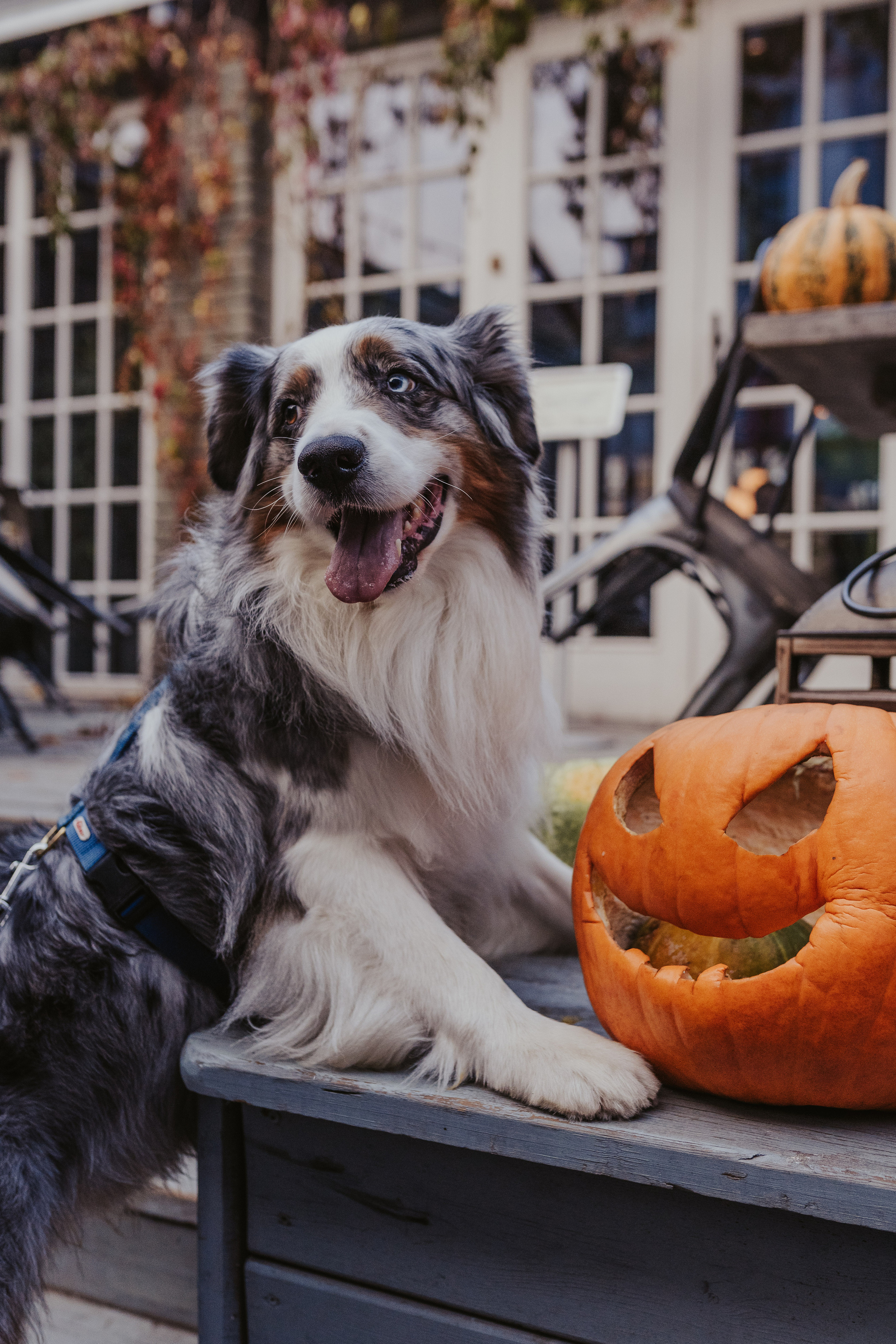 Лена и Принц, Китай- Город. Свадебный фотограф в Москве Анна Полушина