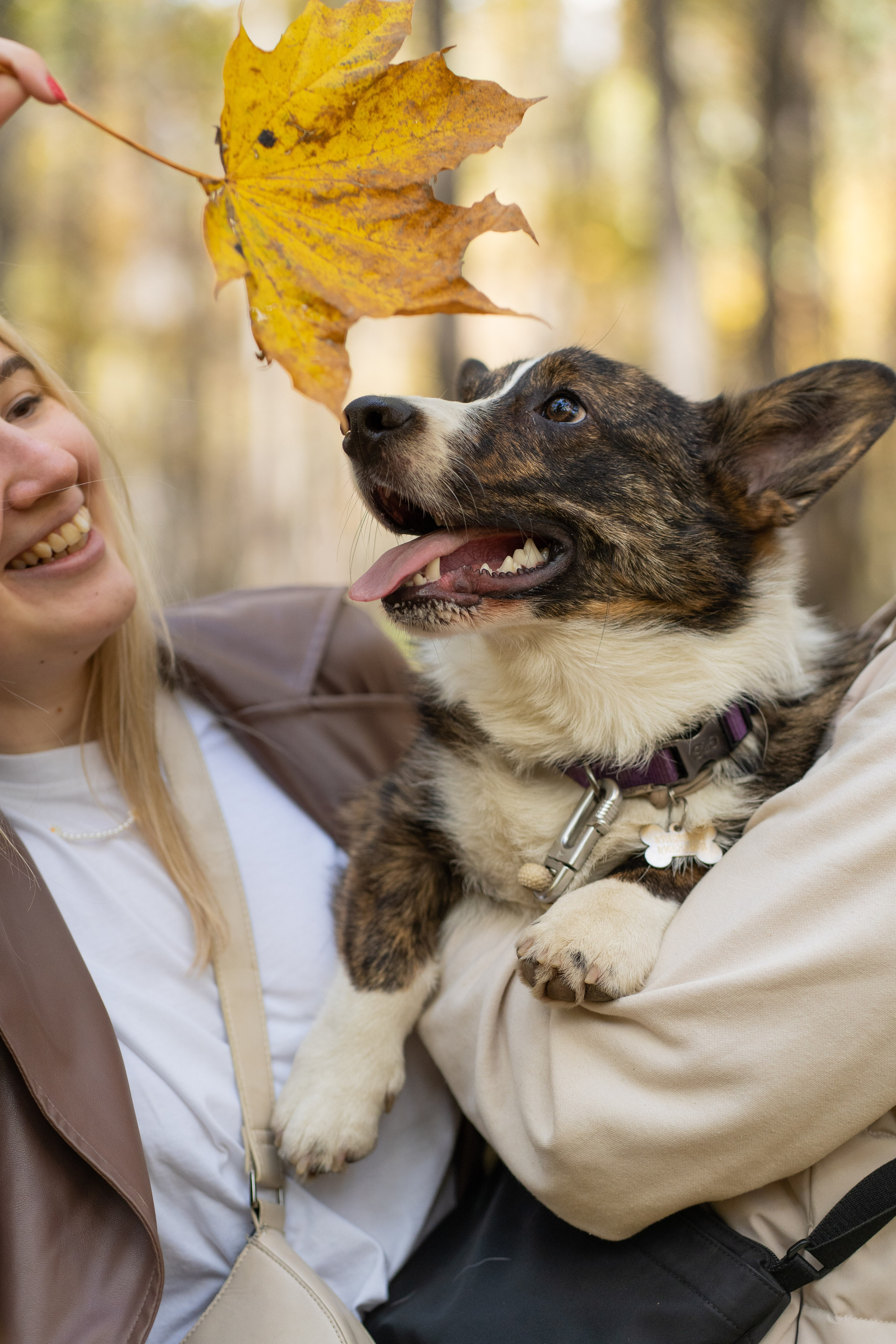 Боря, Даша и Маффин. Свадебный фотограф в Москве Анна Полушина