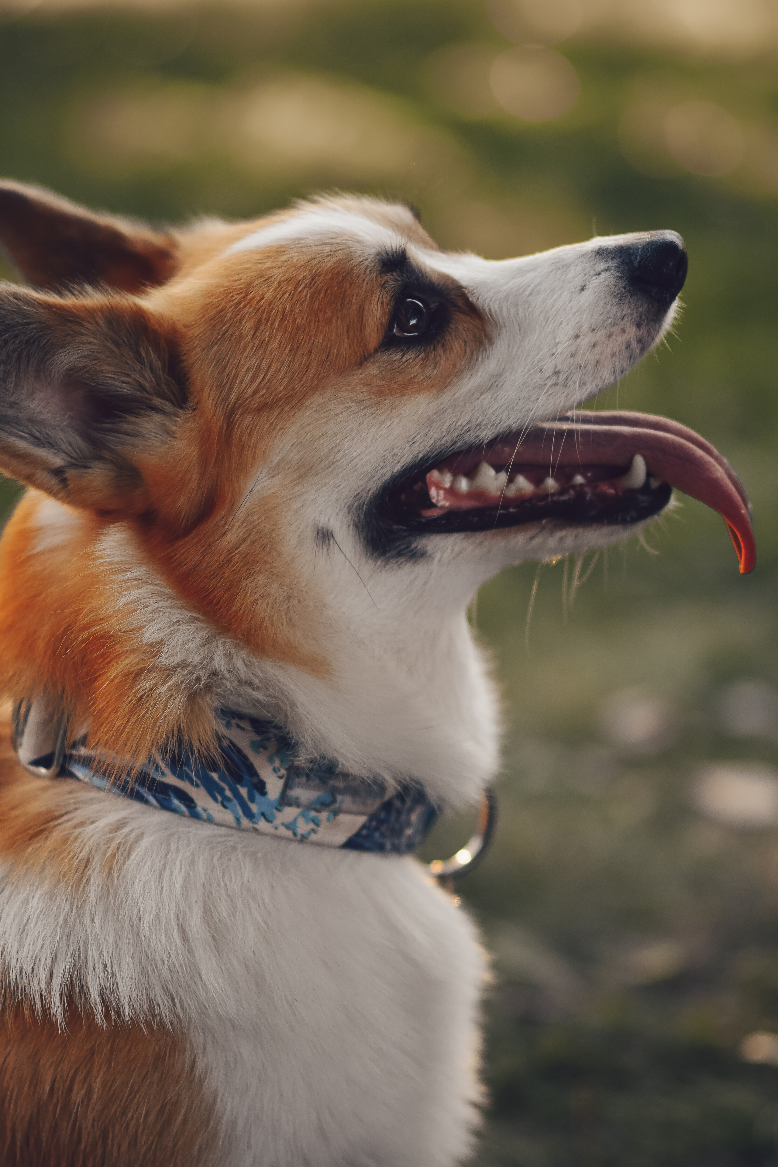 Алина и Ройс, парк на Яузе. Свадебный фотограф в Москве Анна Полушина