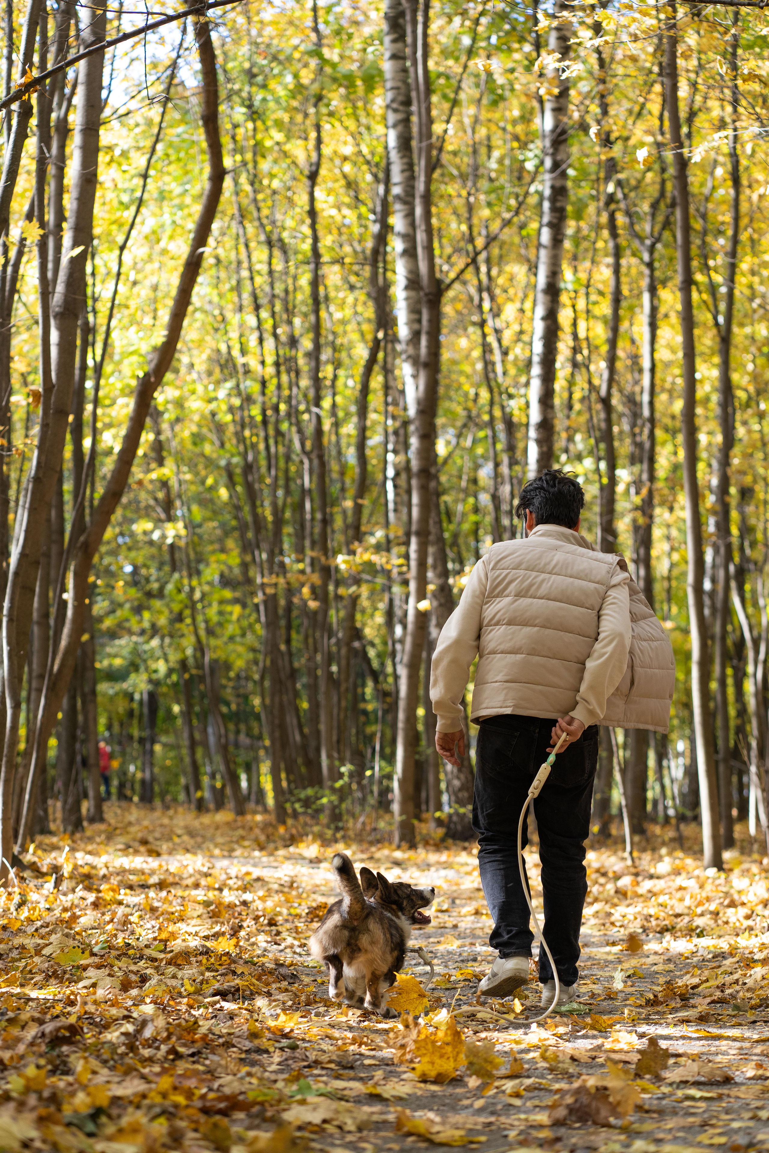 Боря, Даша и Маффин. Свадебный фотограф в Москве Анна Полушина