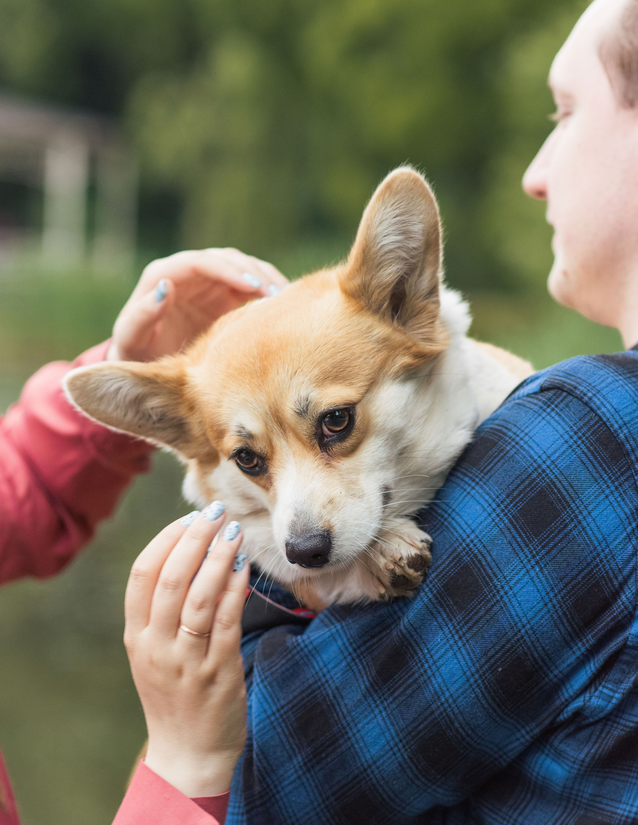 Юлия и Шаня, Покровское-Стрешнево. Свадебный фотограф в Москве Анна Полушина