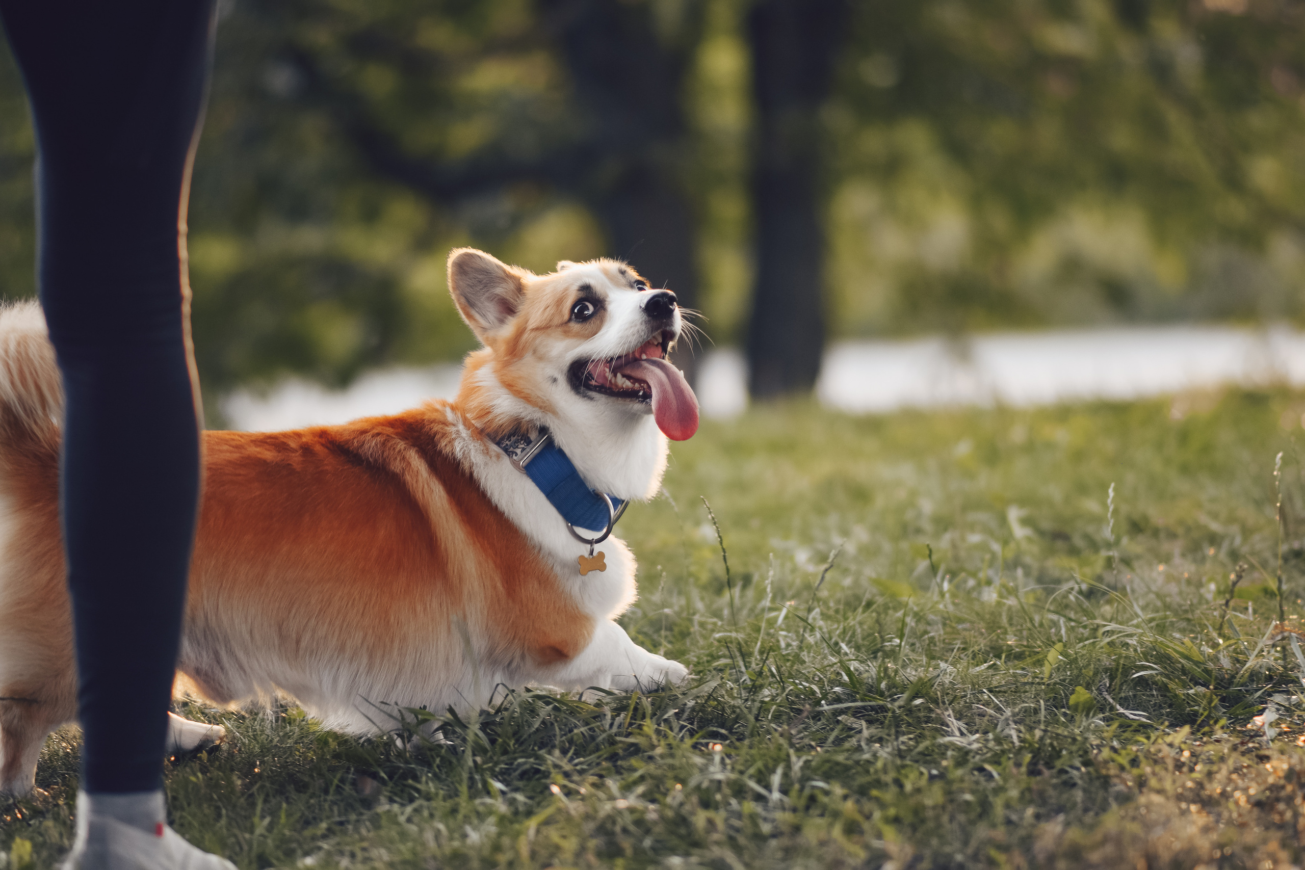Алина и Ройс, парк на Яузе. Свадебный фотограф в Москве Анна Полушина