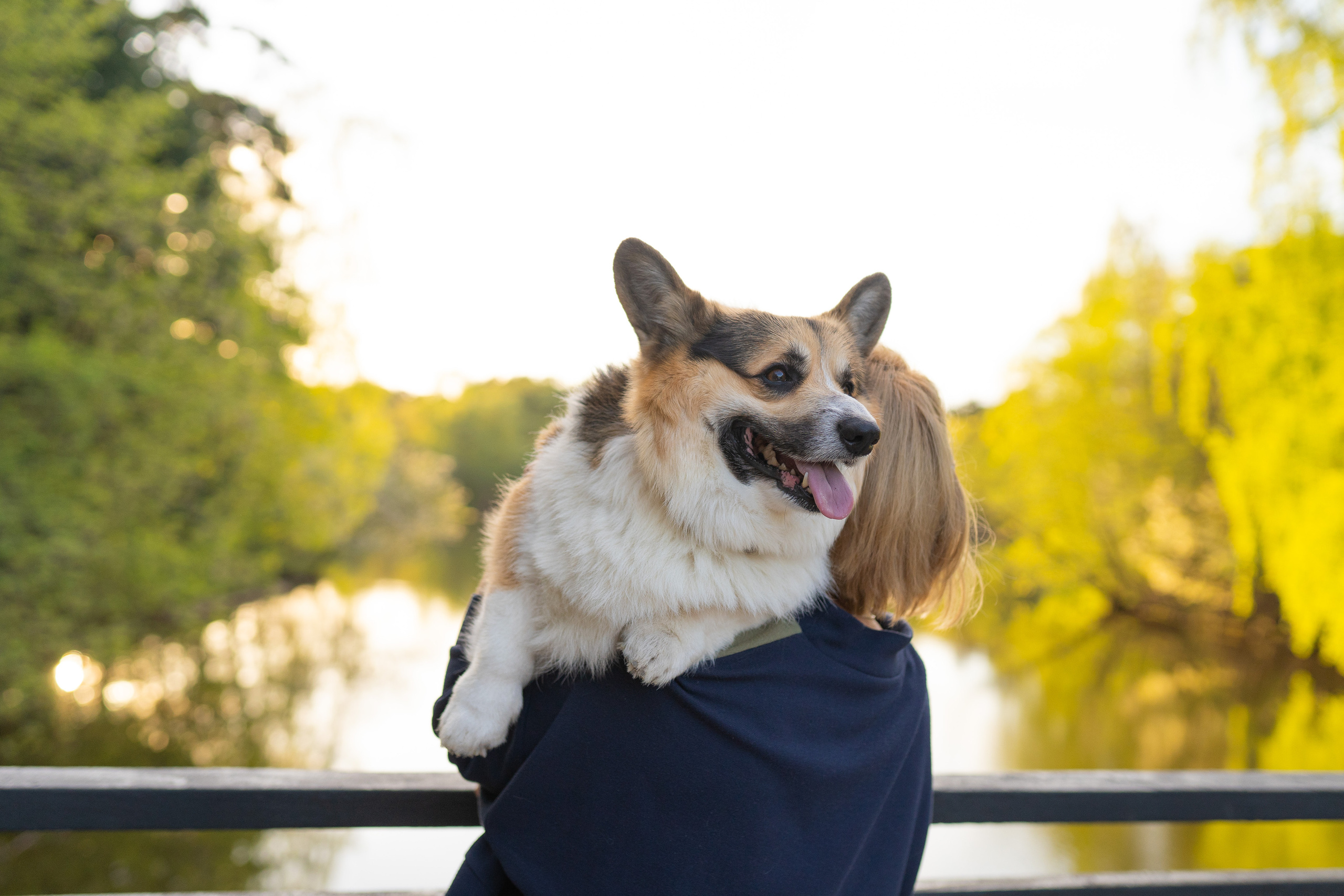 Катя и Честер, Серебряный бор. Свадебный фотограф в Москве Анна Полушина