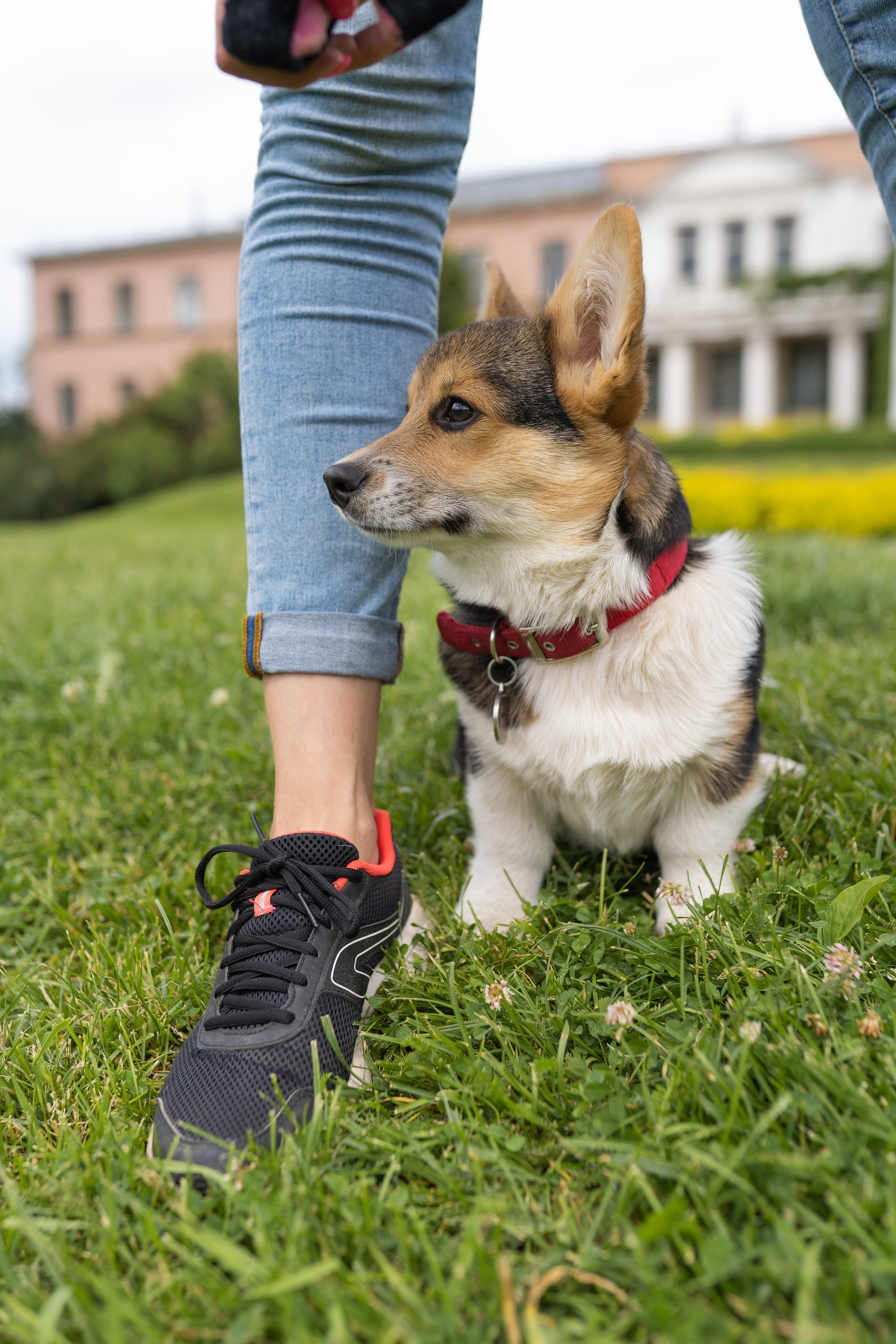 Каспер и Полина, Ботанический сад. Свадебный фотограф в Москве Анна Полушина