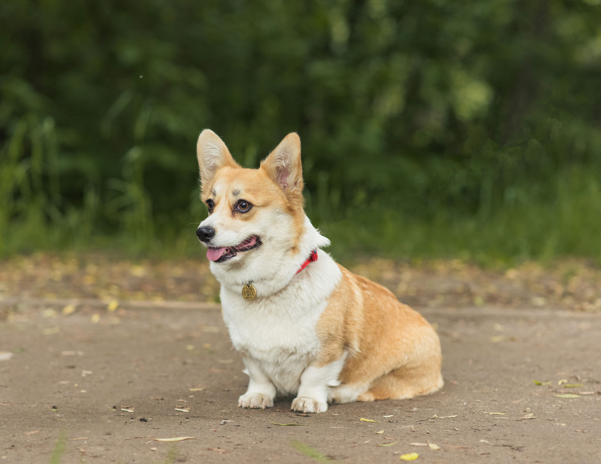 Юлия и Шаня, Покровское-Стрешнево. Свадебный фотограф в Москве Анна Полушина