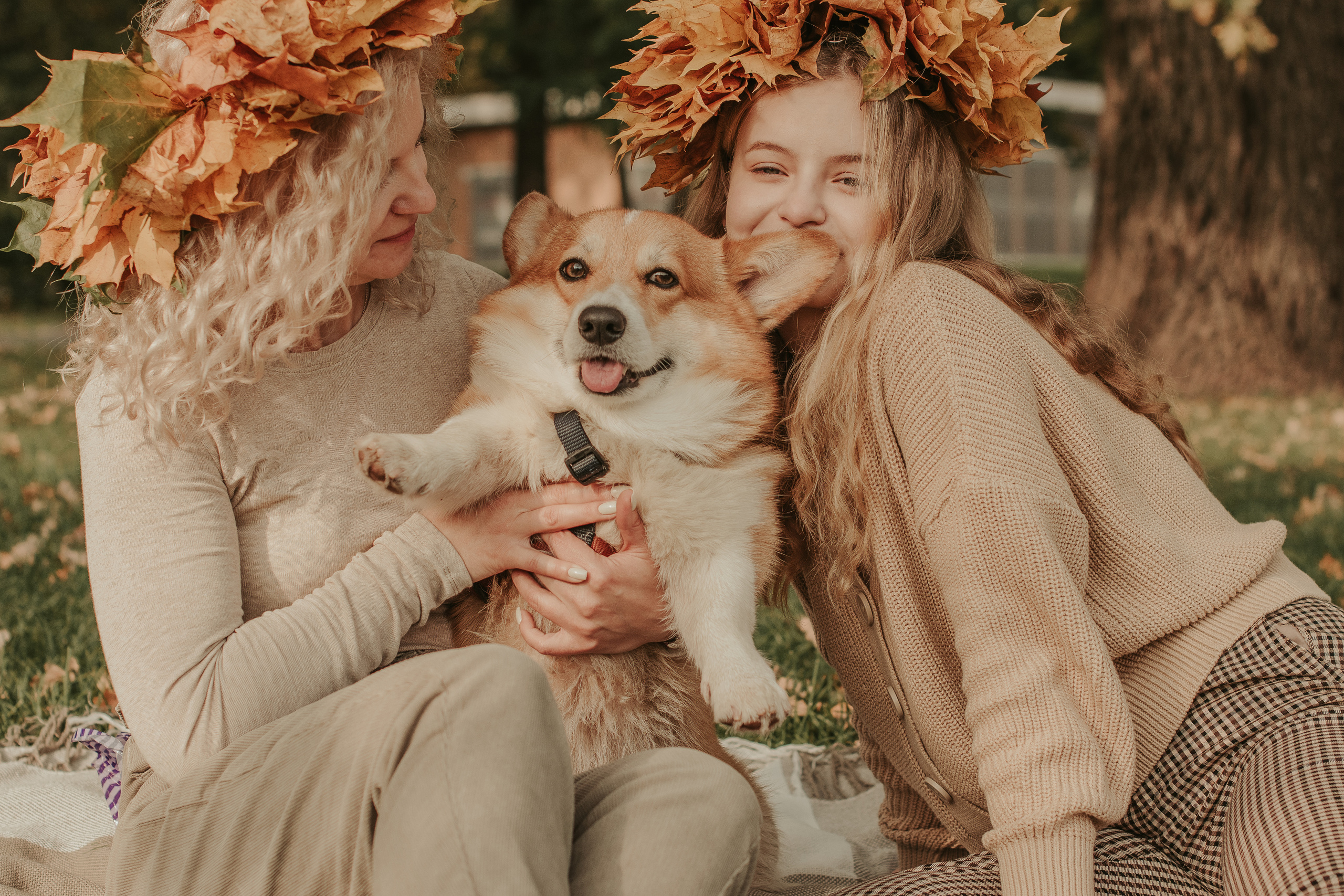 Наташа, Даша и Кевин. Свадебный фотограф в Москве Анна Полушина