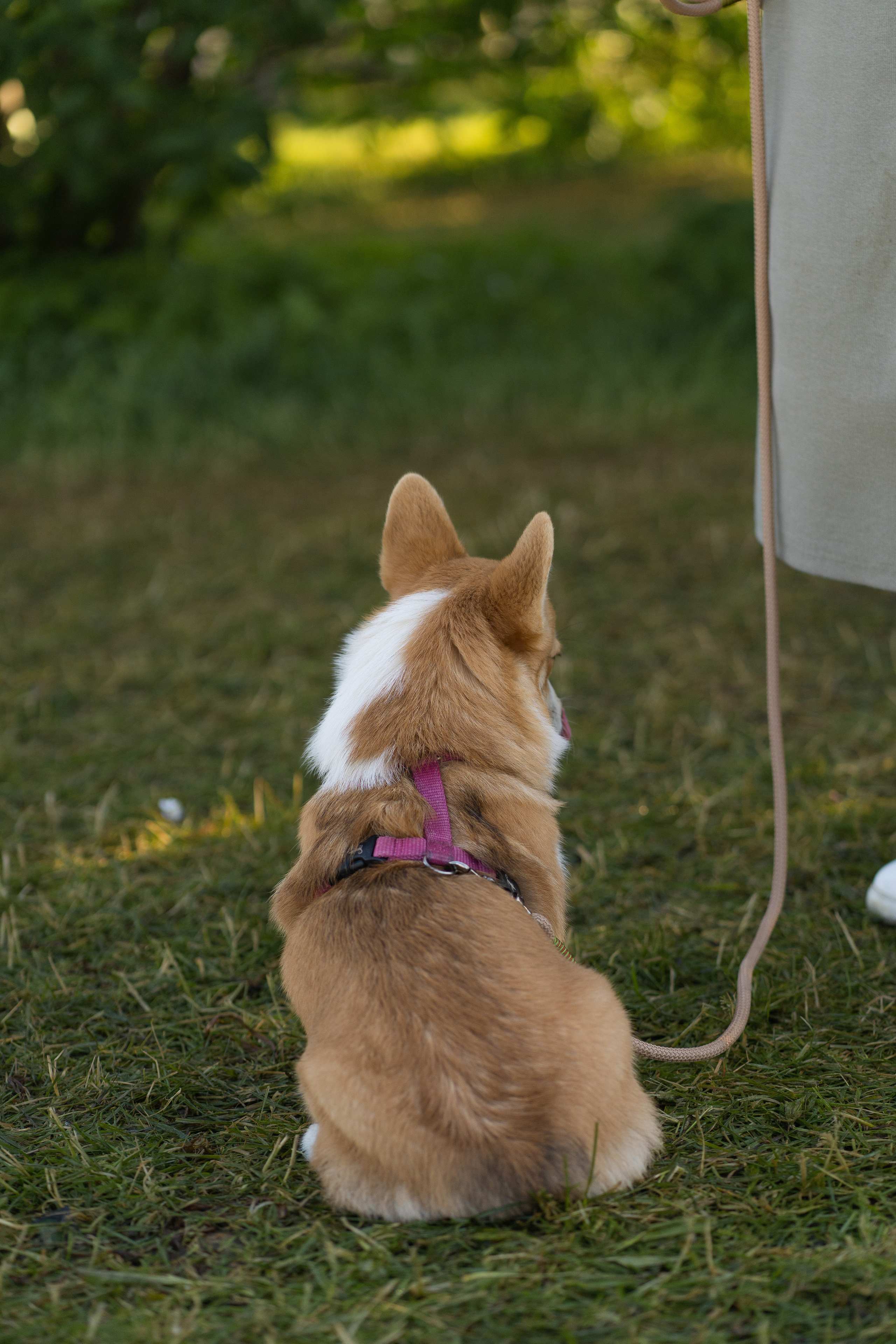 Полина и Стеша, Сиреневый сад. Свадебный фотограф в Москве Анна Полушина