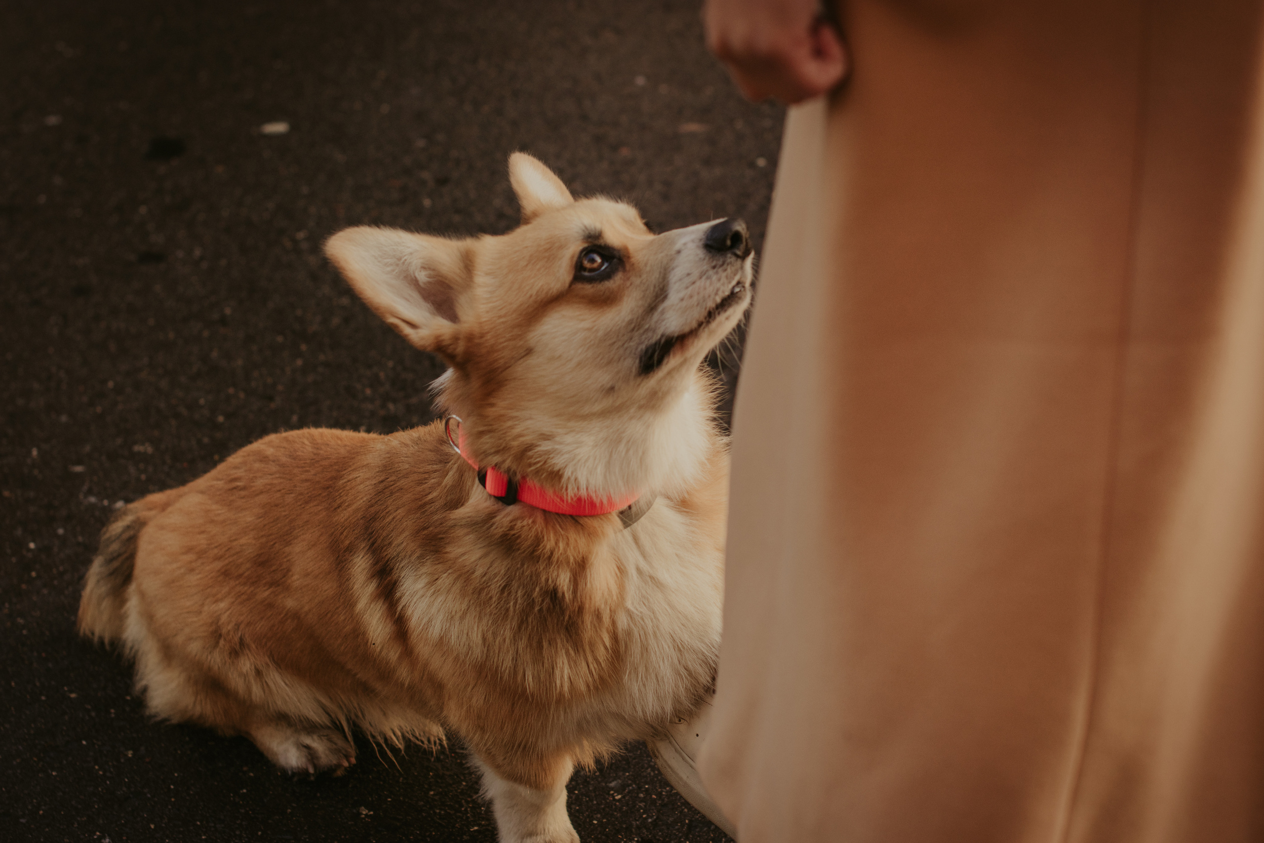 Катя и Оливер, Сокольники. Свадебный фотограф в Москве Анна Полушина