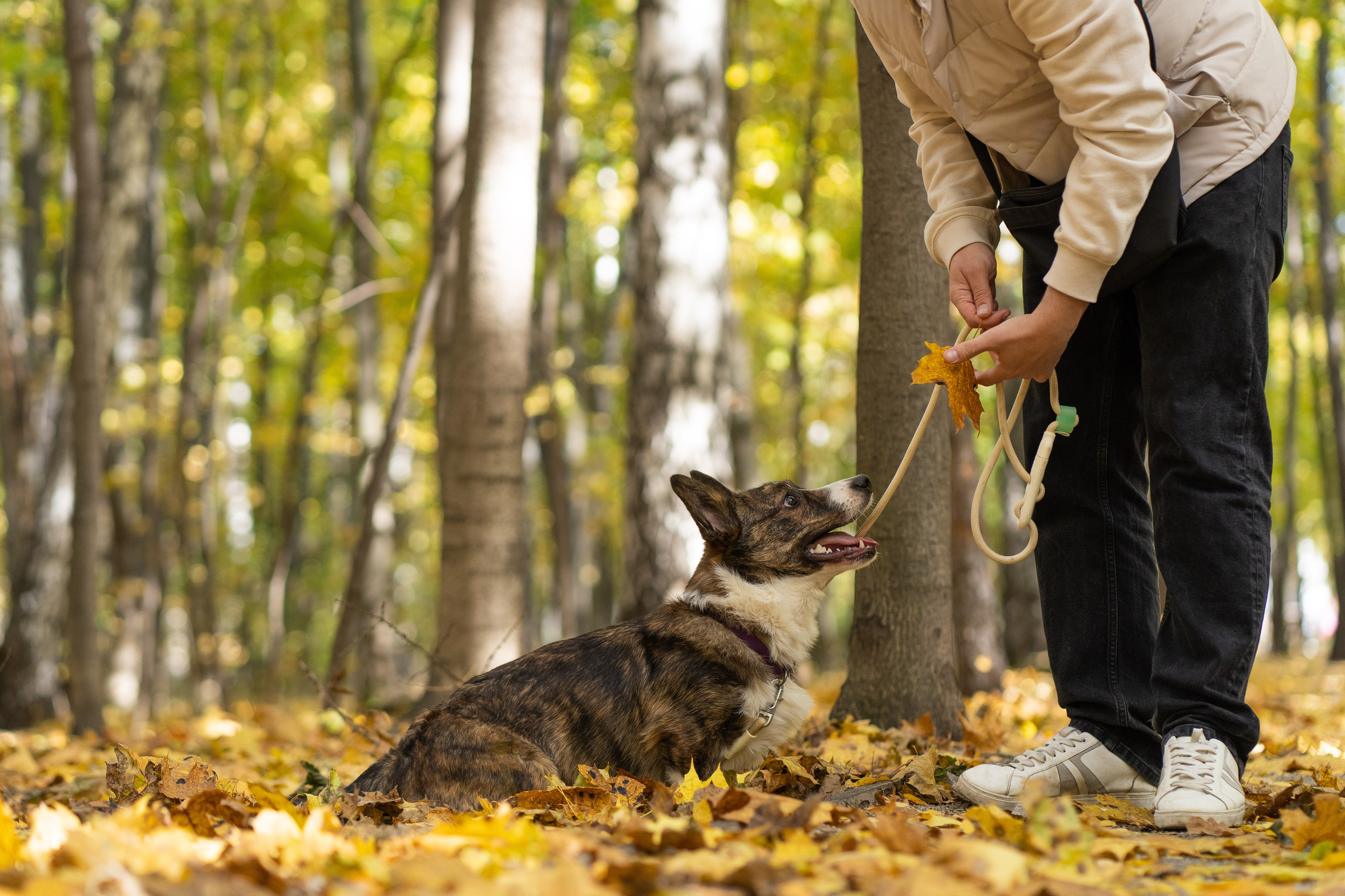 Боря, Даша и Маффин. Свадебный фотограф в Москве Анна Полушина