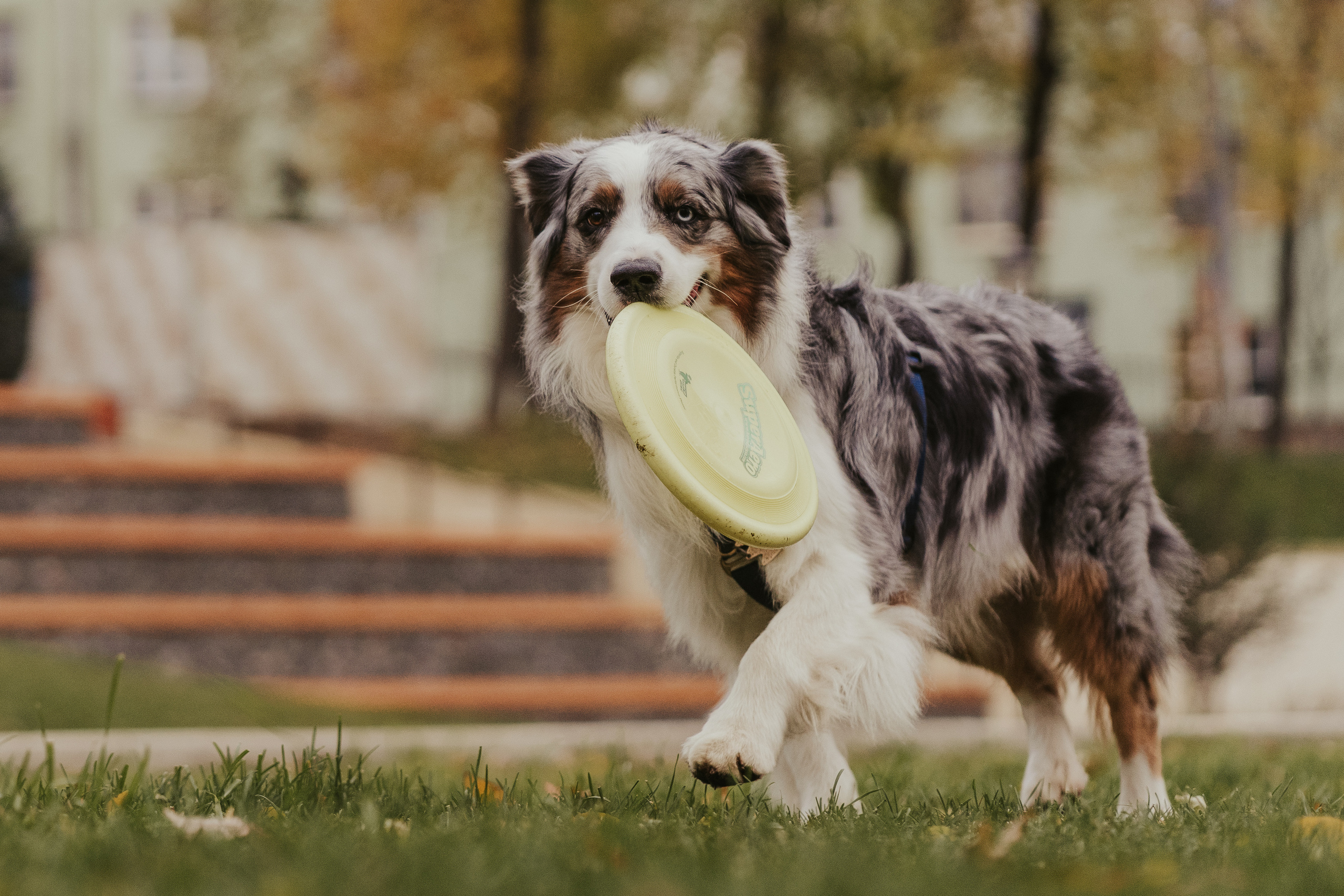 Лена и Принц, Китай- Город. Свадебный фотограф в Москве Анна Полушина