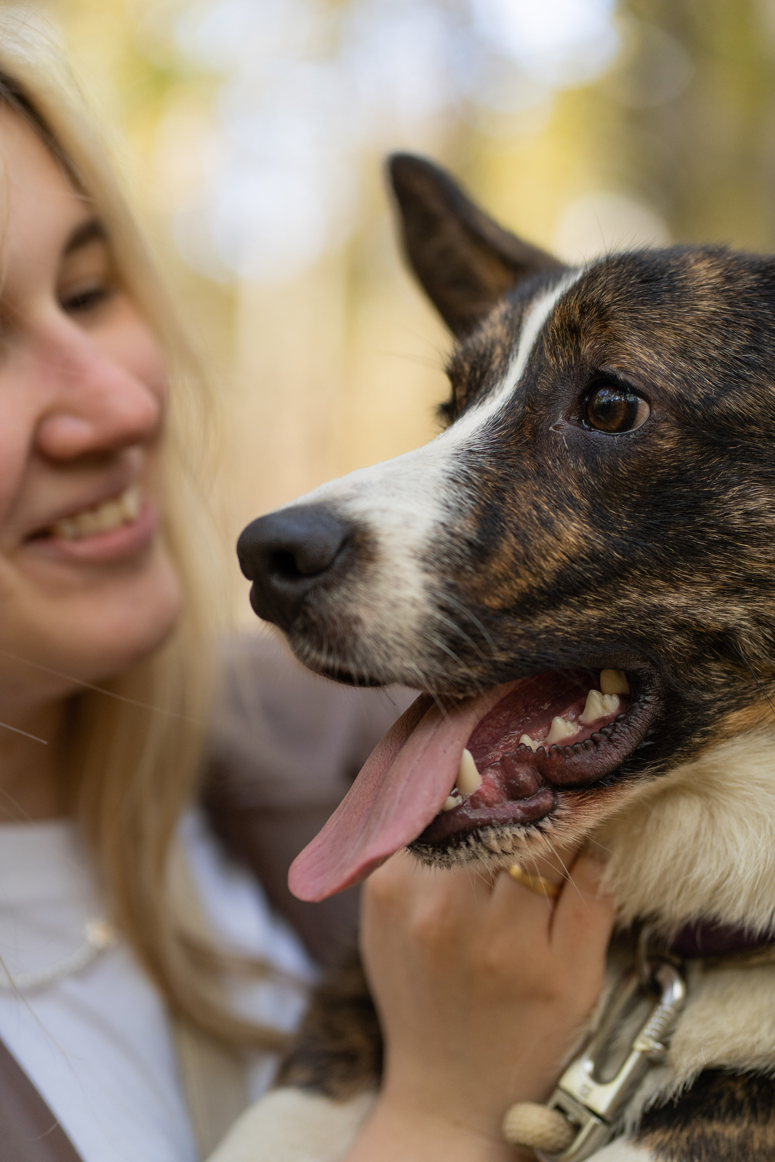 Боря, Даша и Маффин. Свадебный фотограф в Москве Анна Полушина