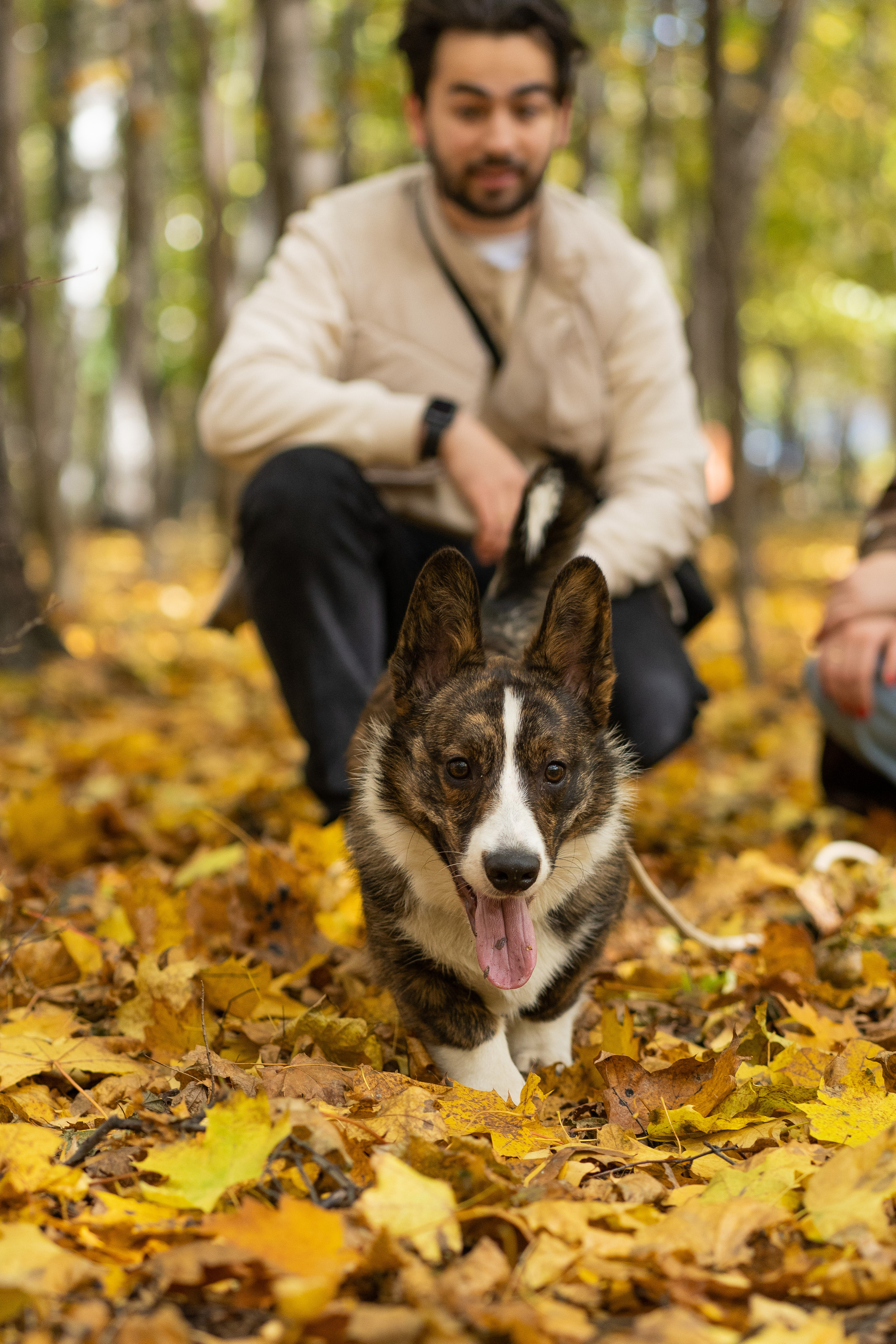 Боря, Даша и Маффин. Свадебный фотограф в Москве Анна Полушина