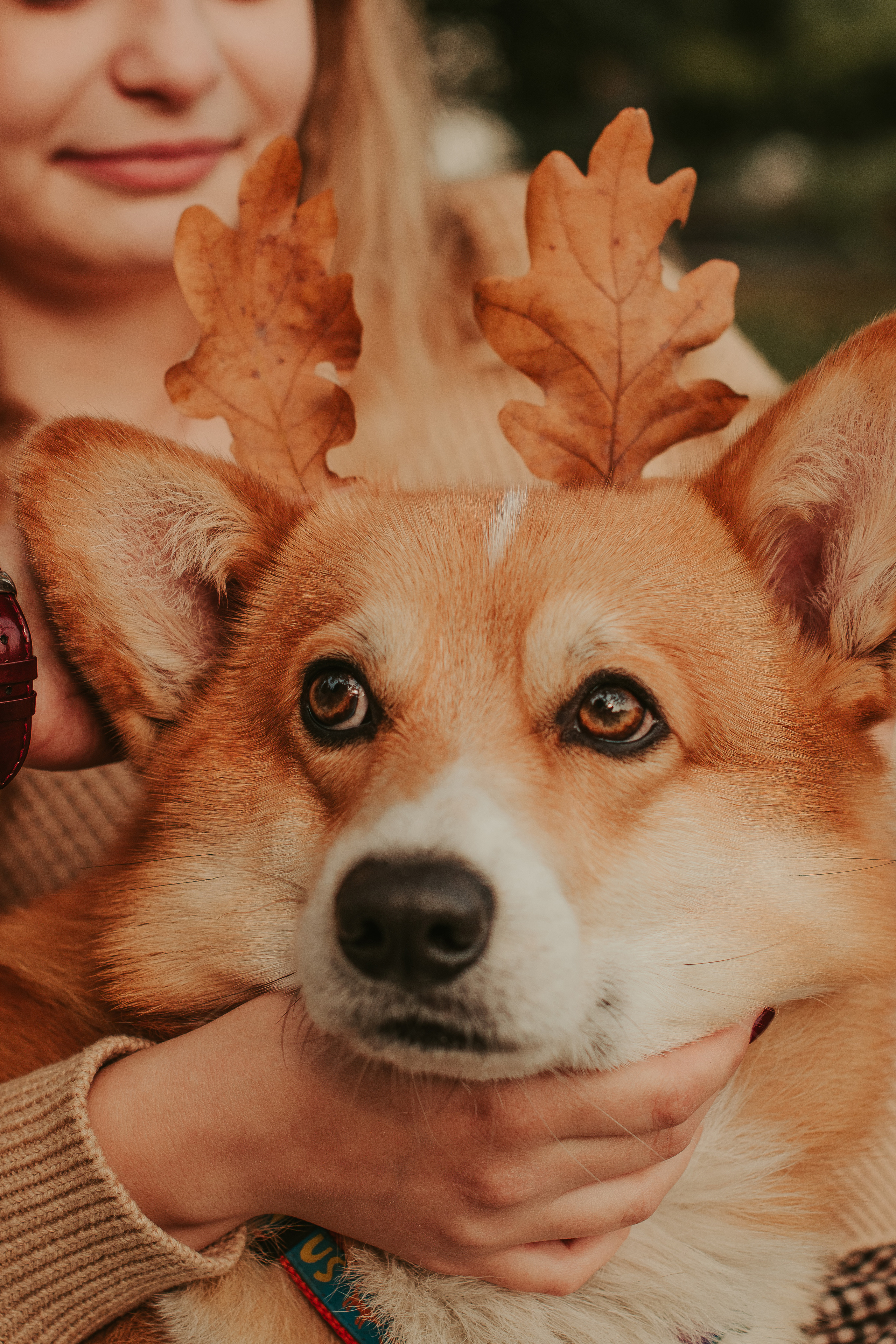 Наташа, Даша и Кевин. Свадебный фотограф в Москве Анна Полушина