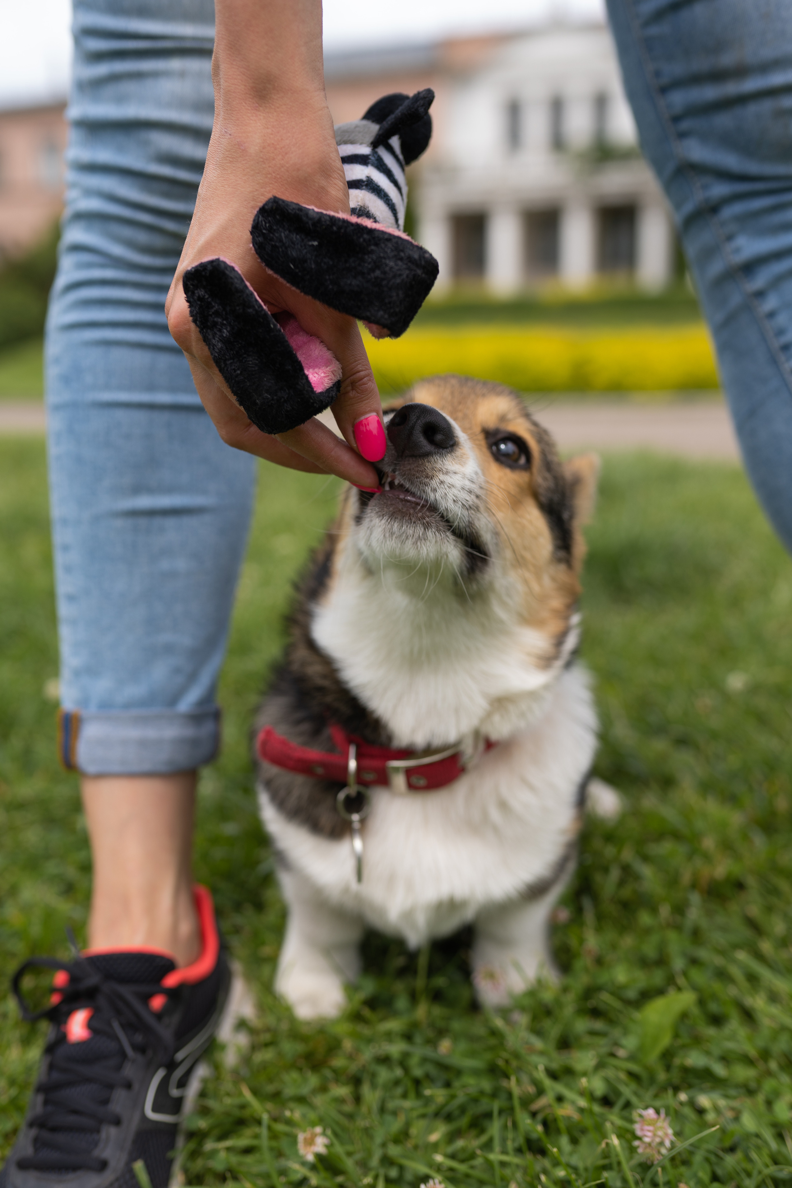 Каспер и Полина, Ботанический сад. Свадебный фотограф в Москве Анна Полушина