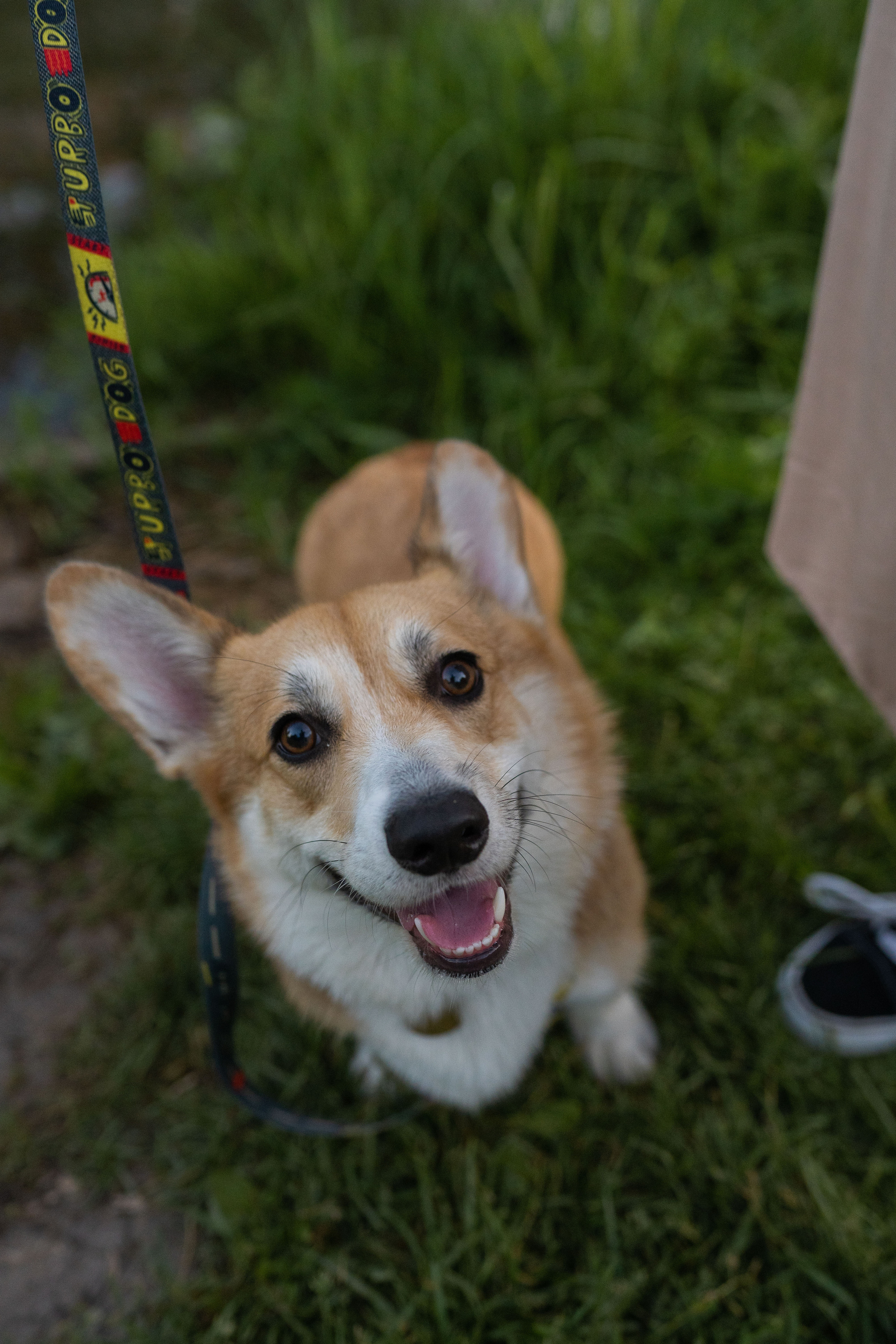 Катя и Боря, Джамгаровский парк. Свадебный фотограф в Москве Анна Полушина