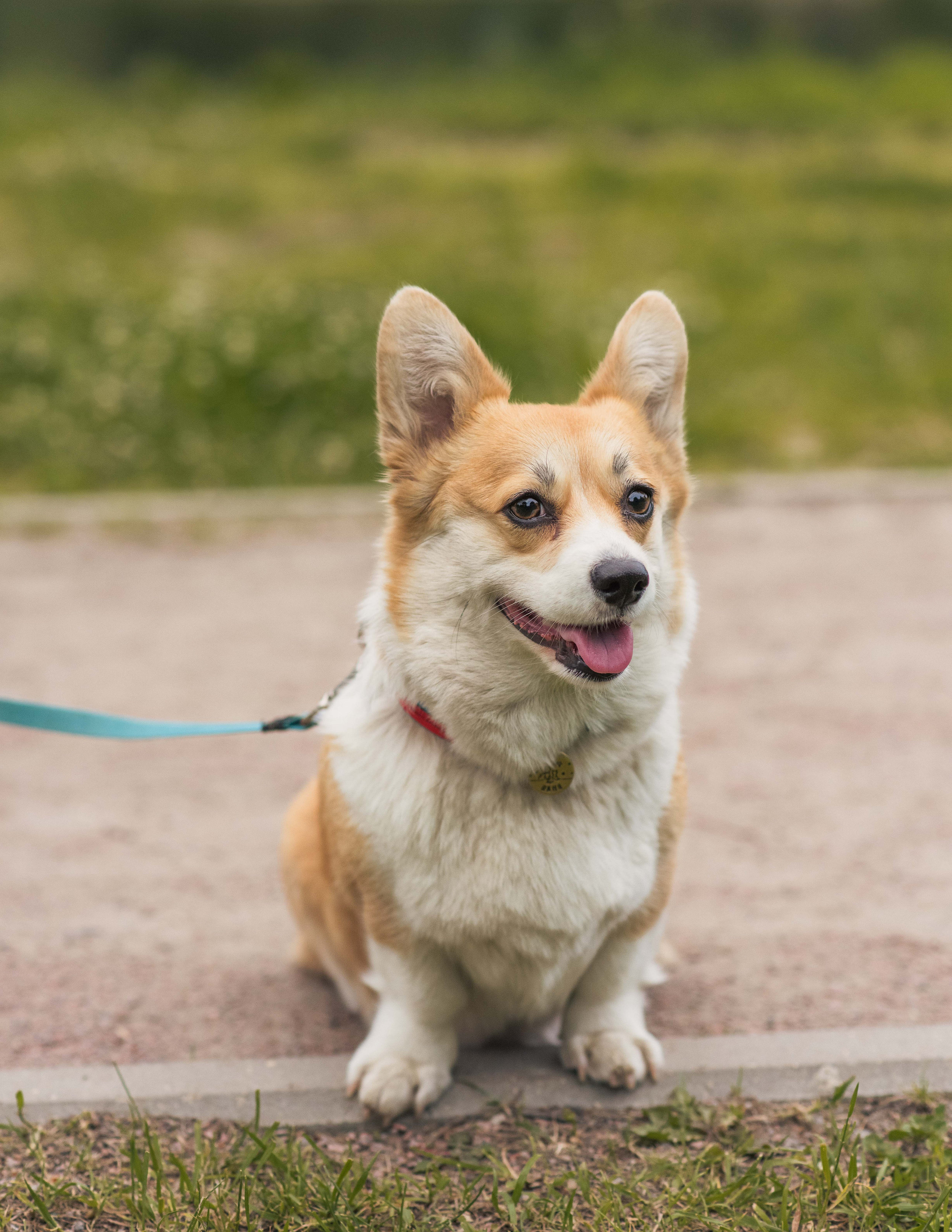 Юлия и Шаня, Покровское-Стрешнево. Свадебный фотограф в Москве Анна Полушина