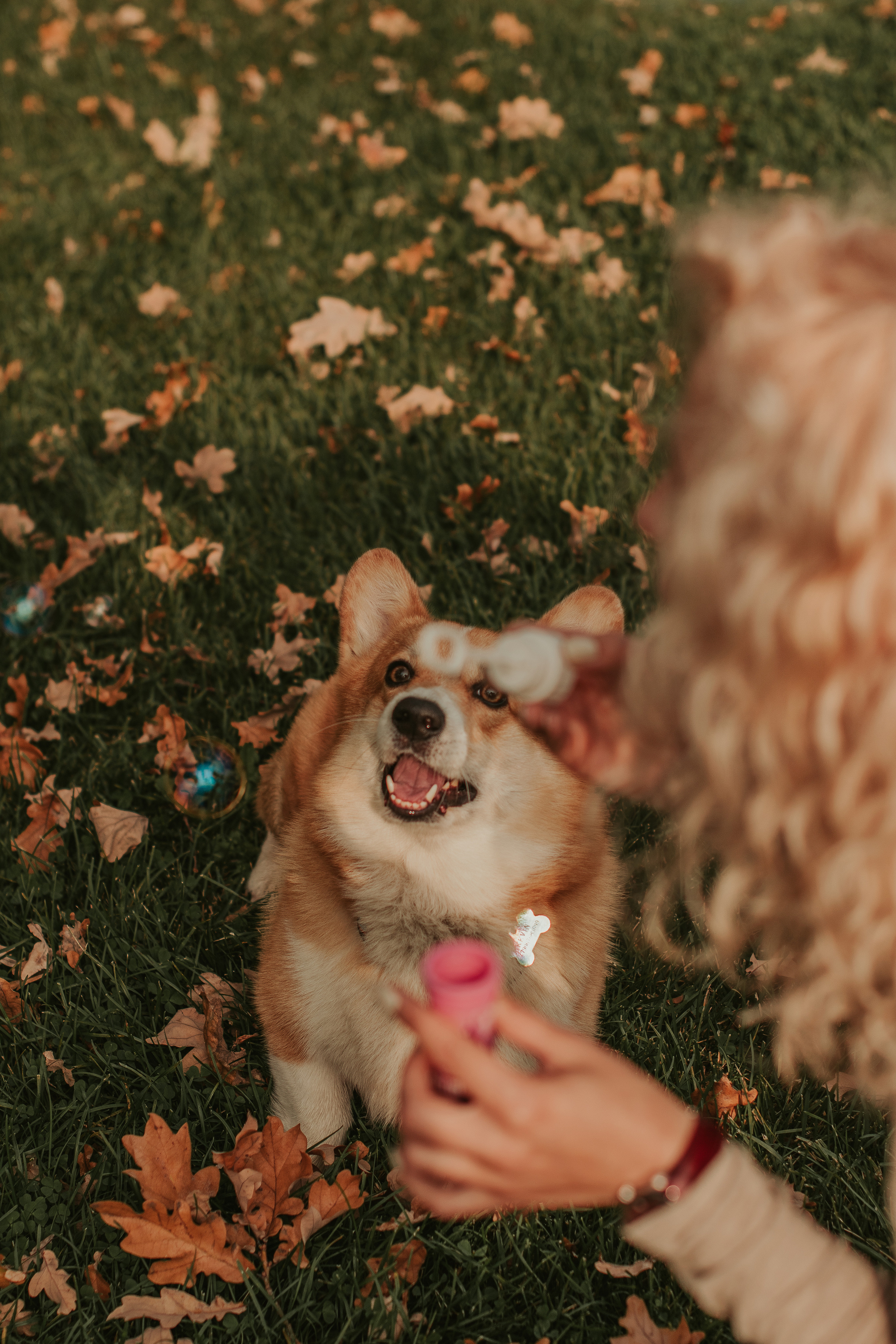 Наташа, Даша и Кевин. Свадебный фотограф в Москве Анна Полушина