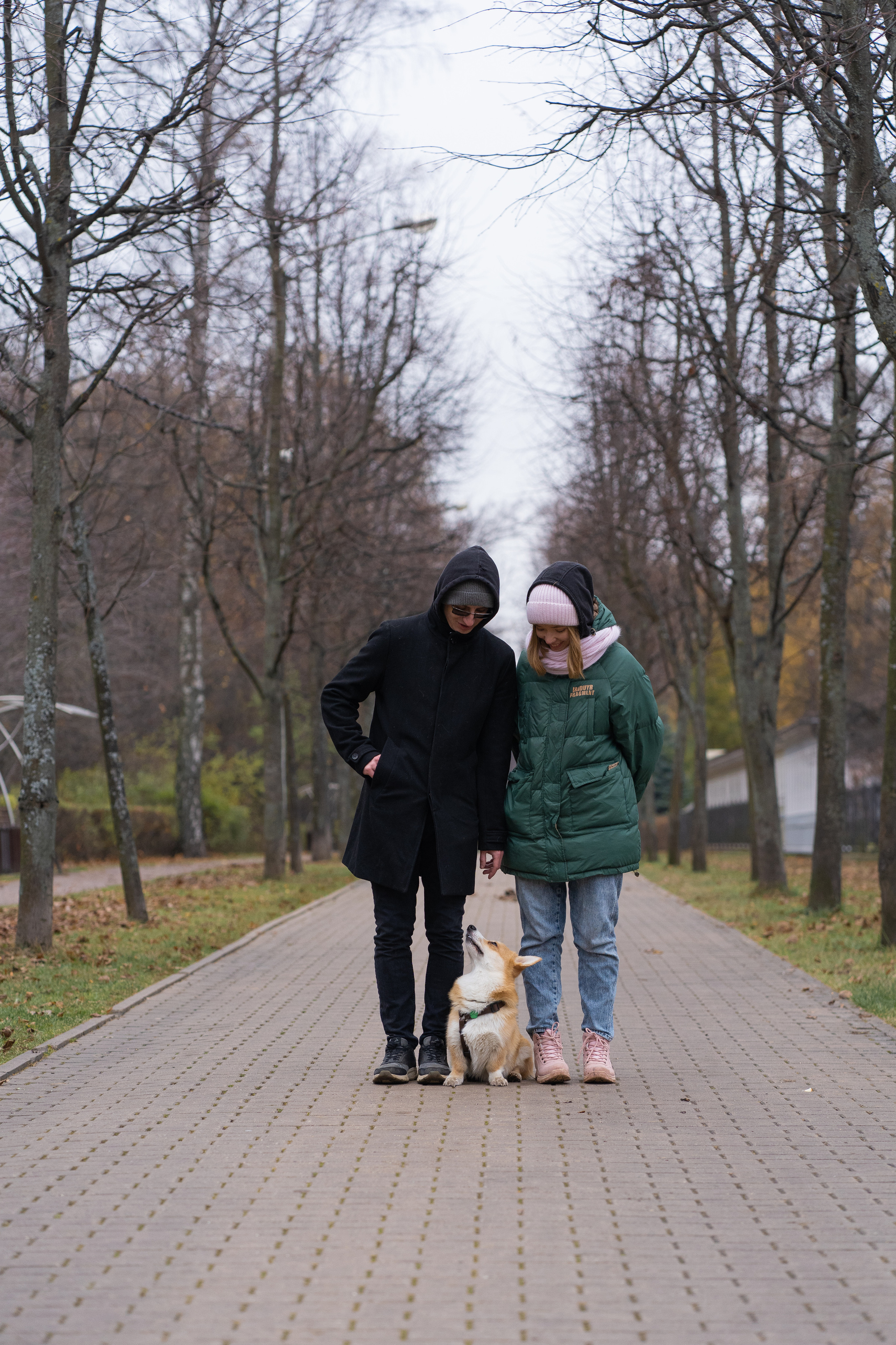 Ульяна, Рома, корги Эйс. Свадебный фотограф в Москве Анна Полушина