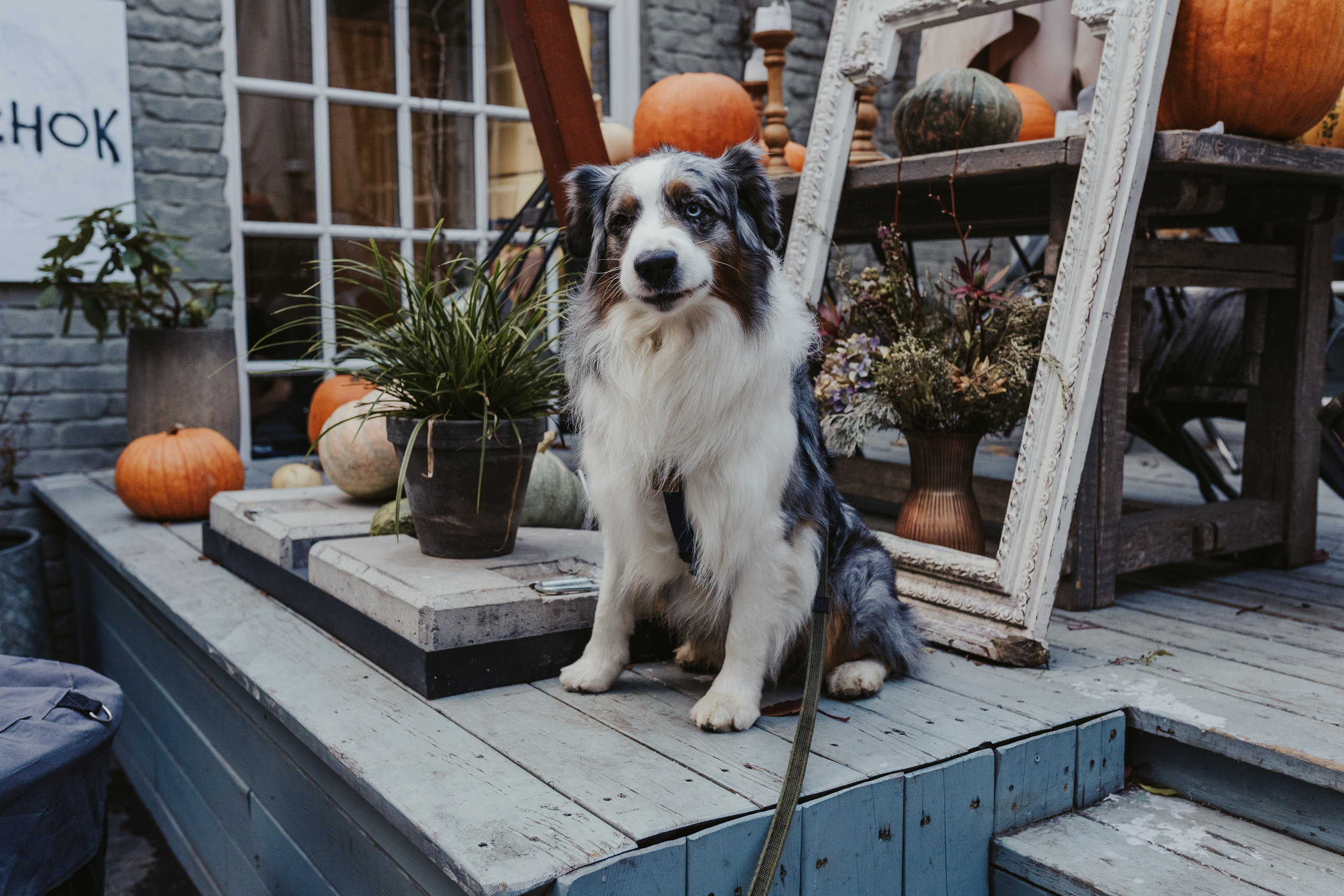 Лена и Принц, Китай- Город. Свадебный фотограф в Москве Анна Полушина