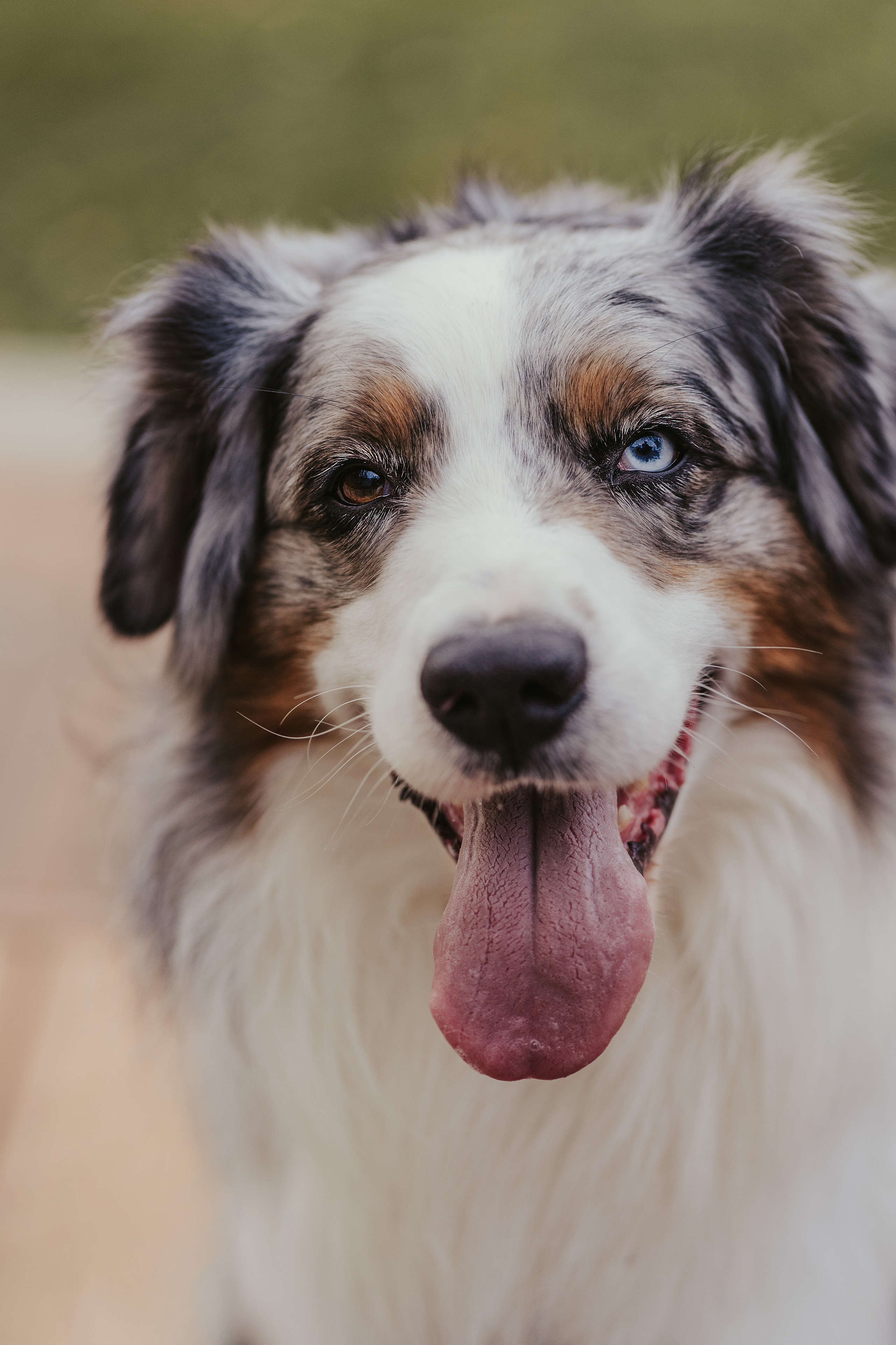 Лена и Принц, Китай- Город. Свадебный фотограф в Москве Анна Полушина